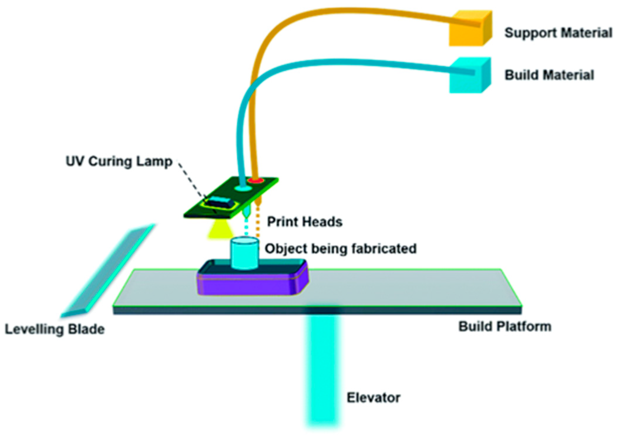 Bioengineering 12 00249 g001 Bioengineering 12 00249 g001