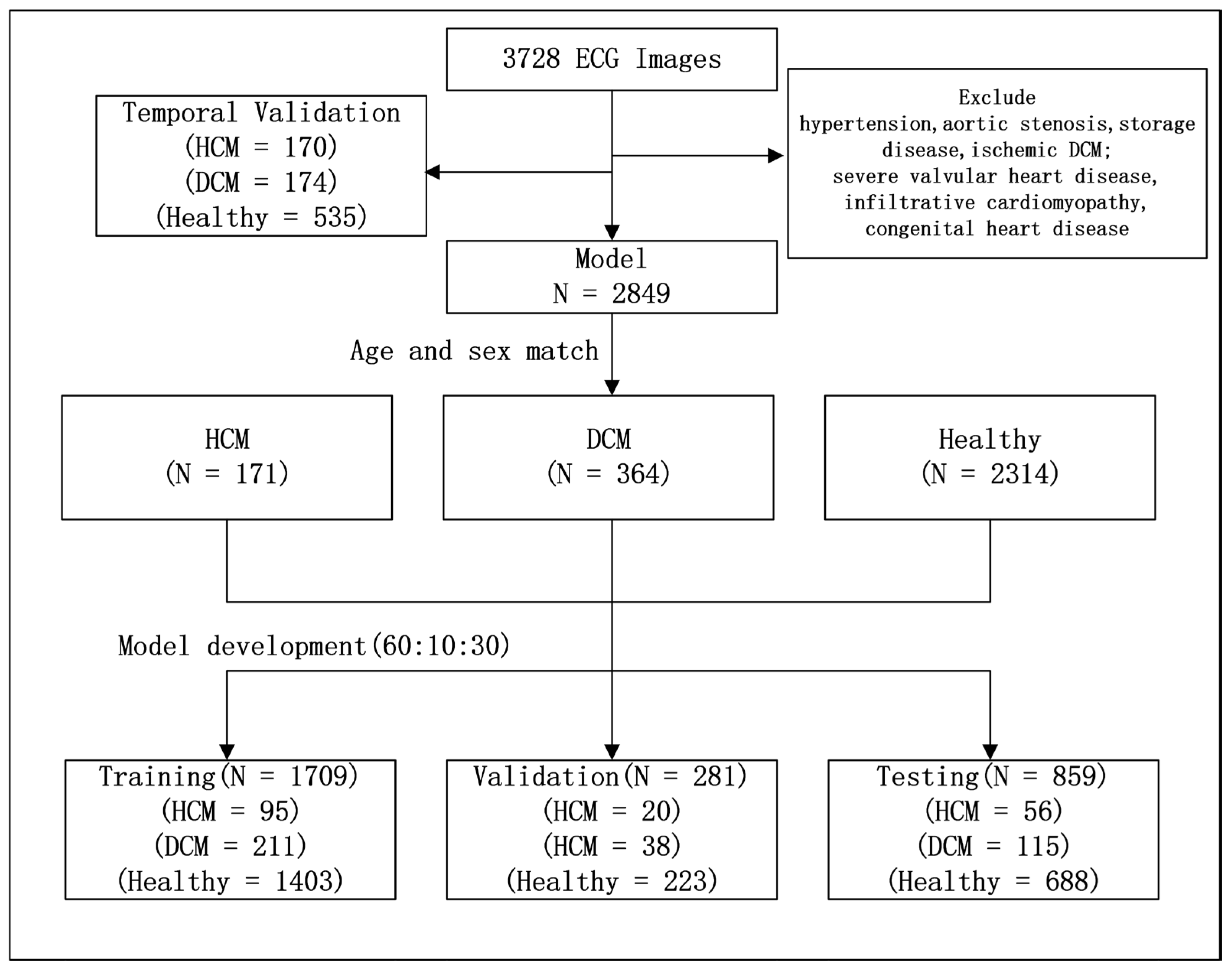 Bioengineering 12 00250 g001