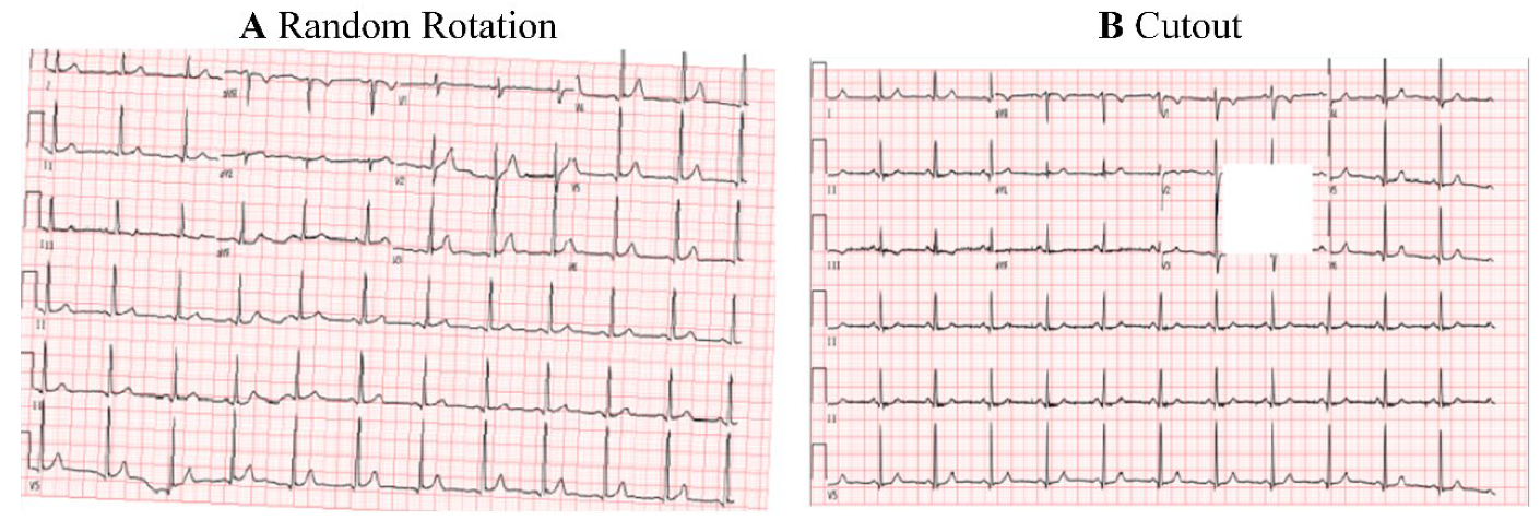Bioengineering 12 00250 g002
