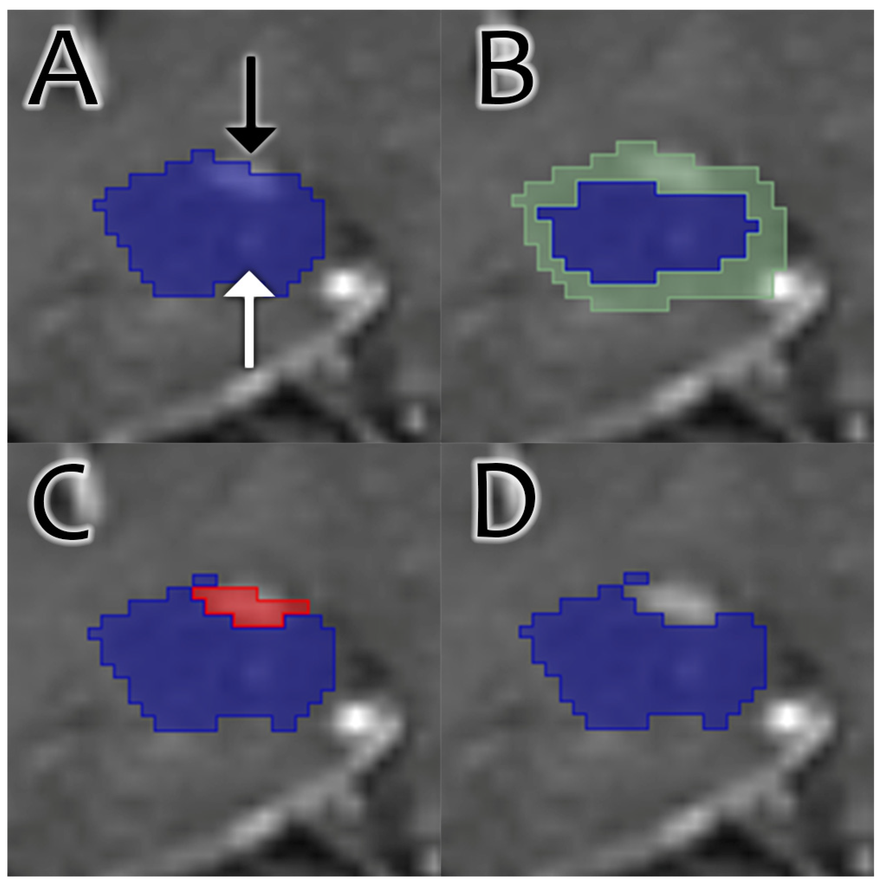 Bioengineering 12 00258 g001