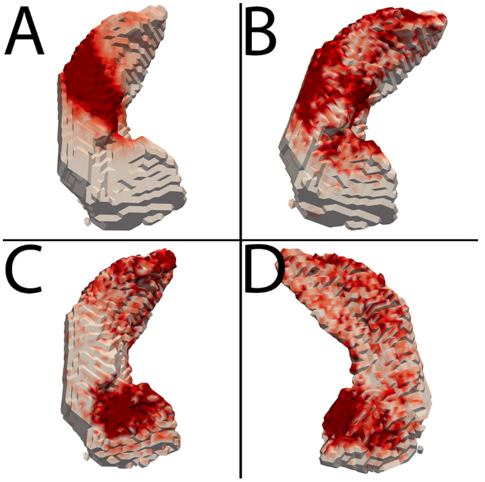 Bioengineering 12 00258 g002