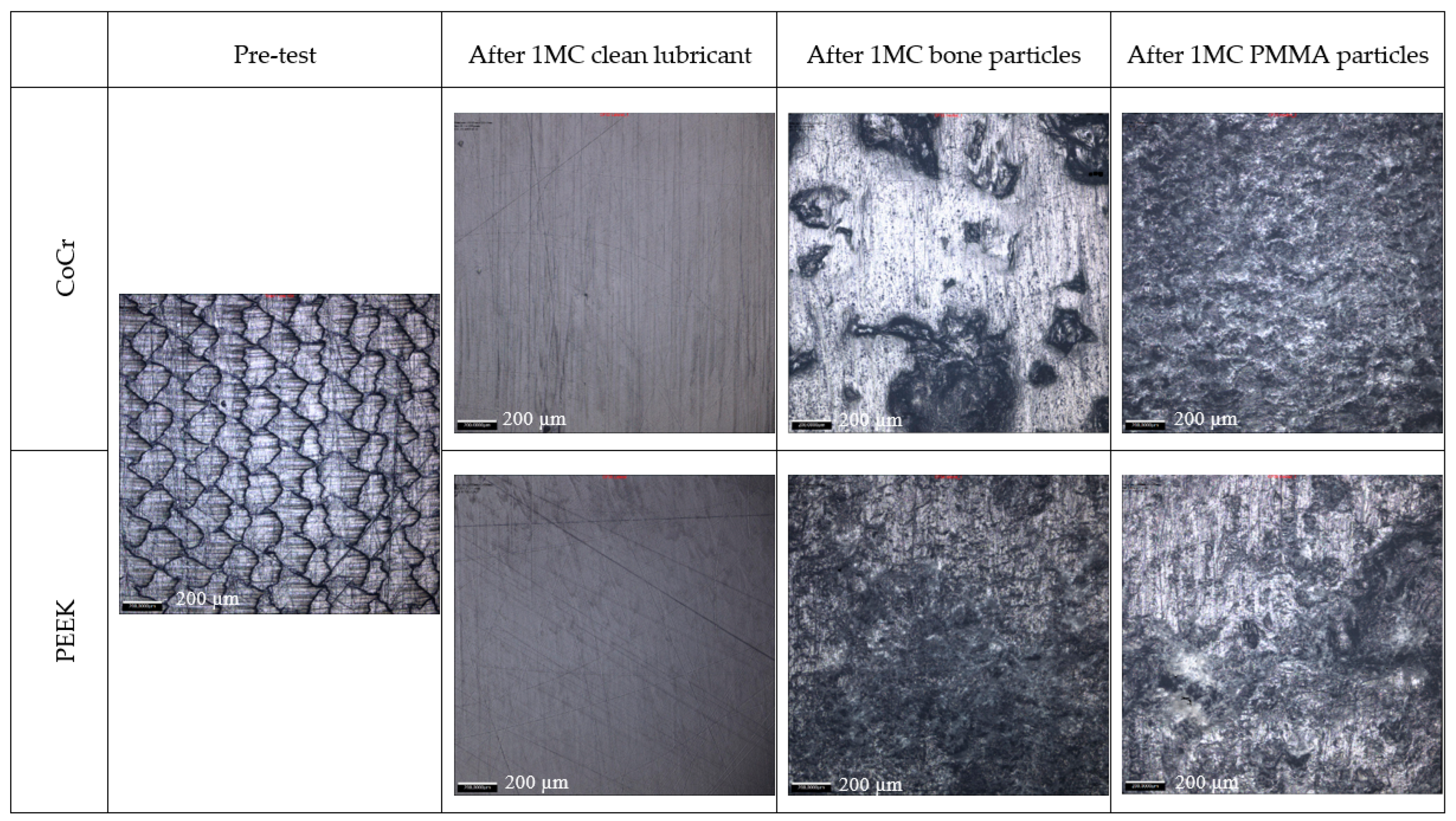 Bioengineering 12 00261 g003