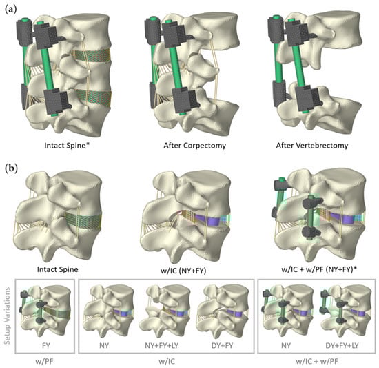 Bioengineering 12 00263 g002