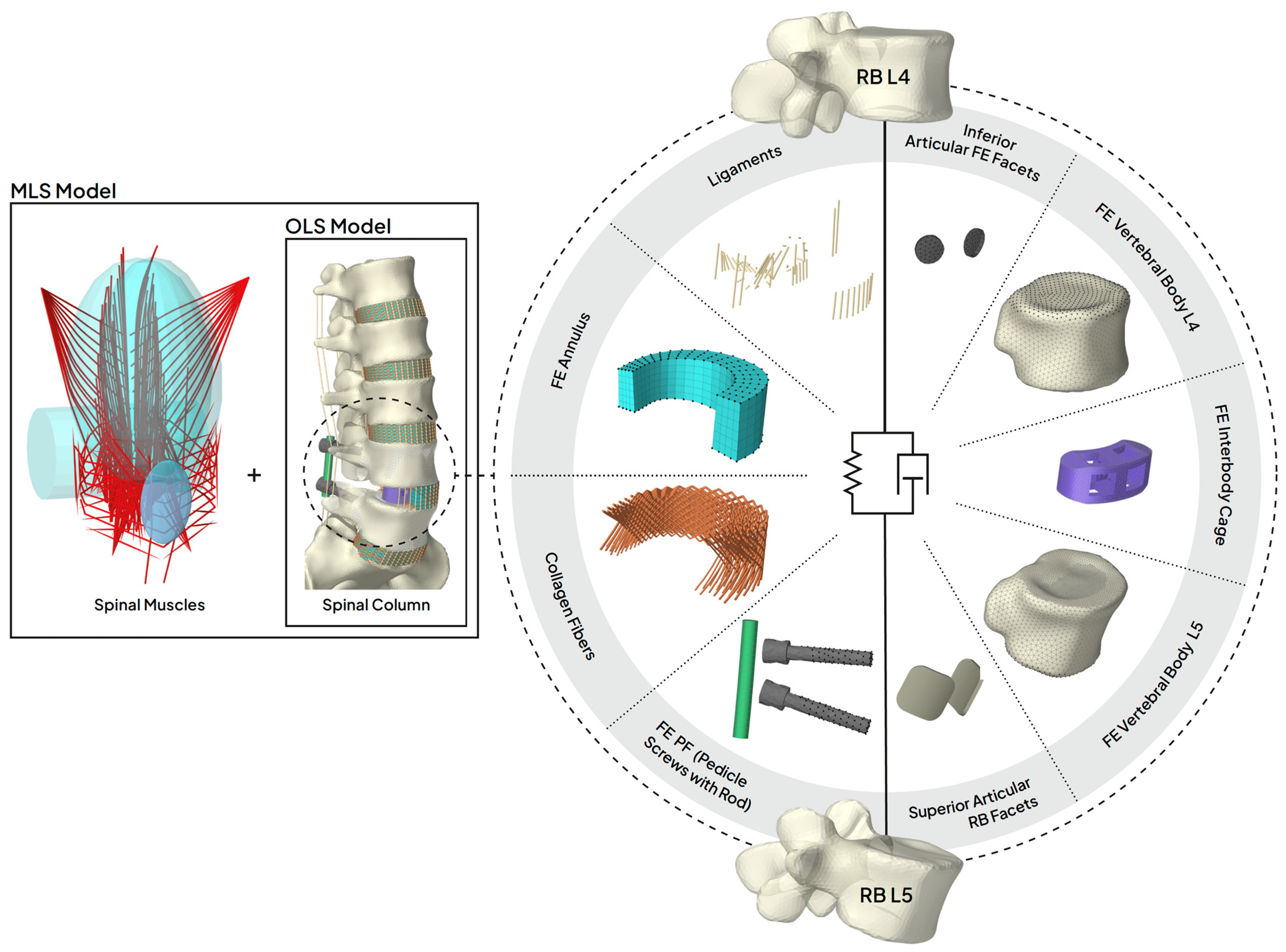 Bioengineering 12 00263 g003