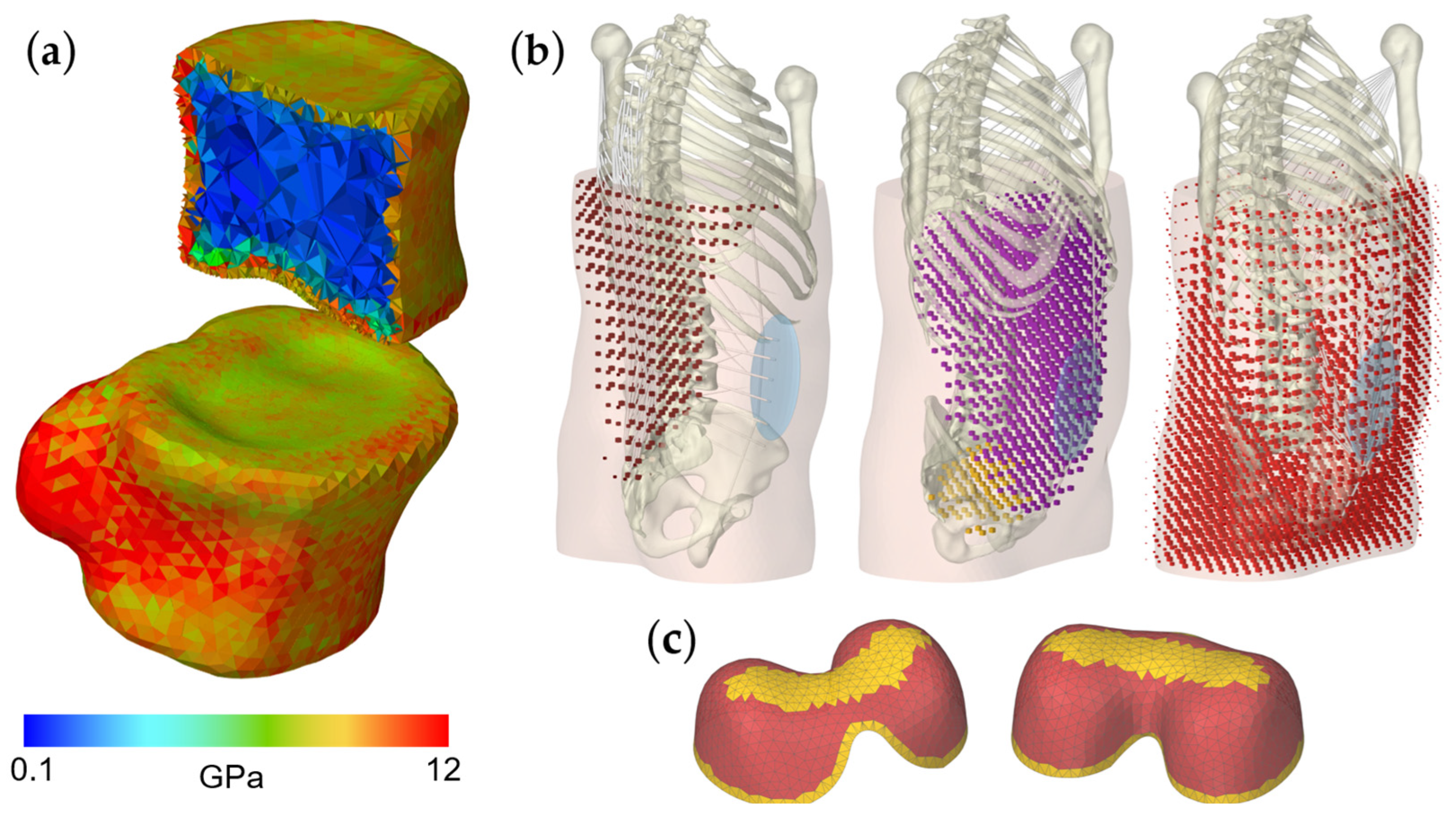 Bioengineering 12 00263 g004