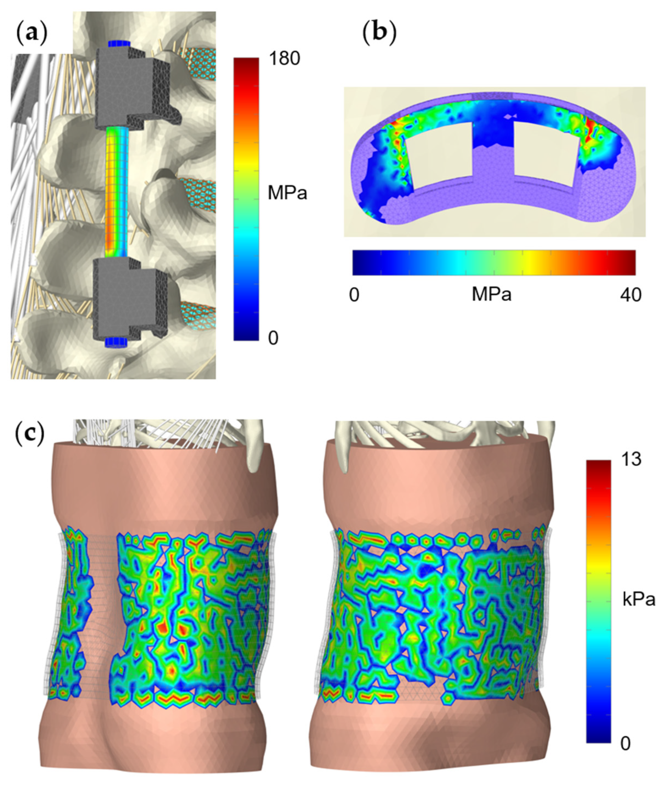 Bioengineering 12 00263 g007