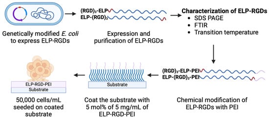 Bioengineering 12 00266 g001