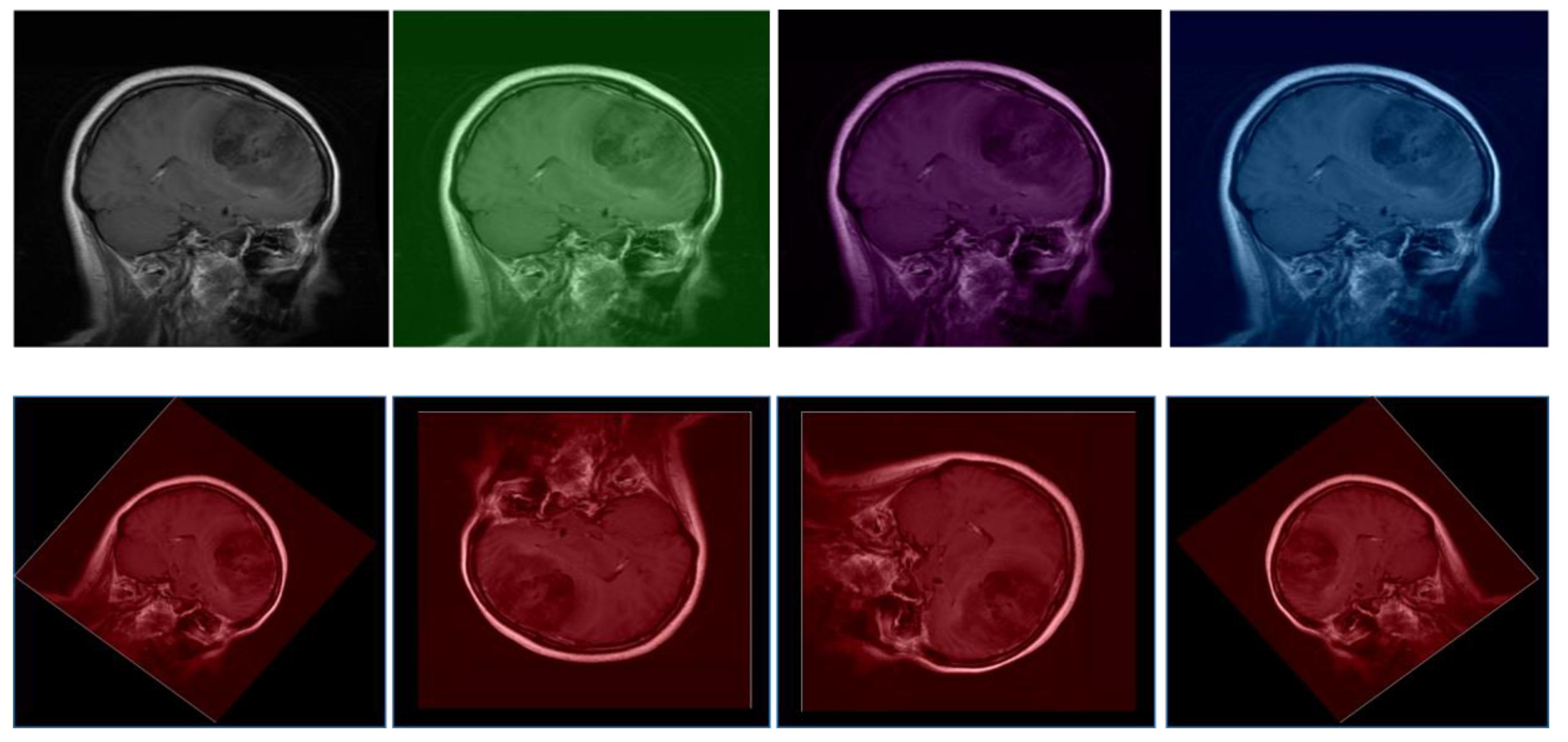 Bioengineering 12 00274 g003