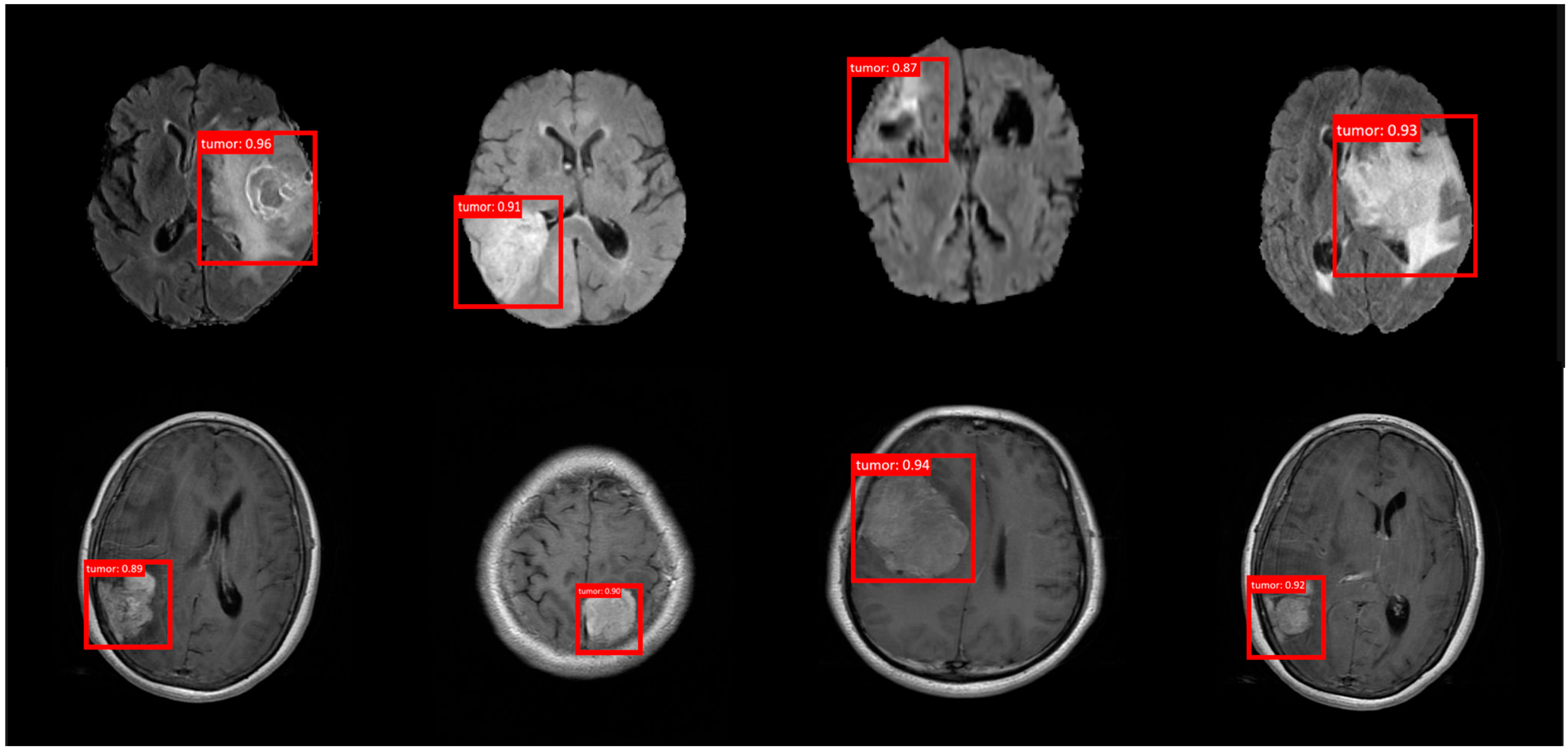 Bioengineering 12 00274 g005
