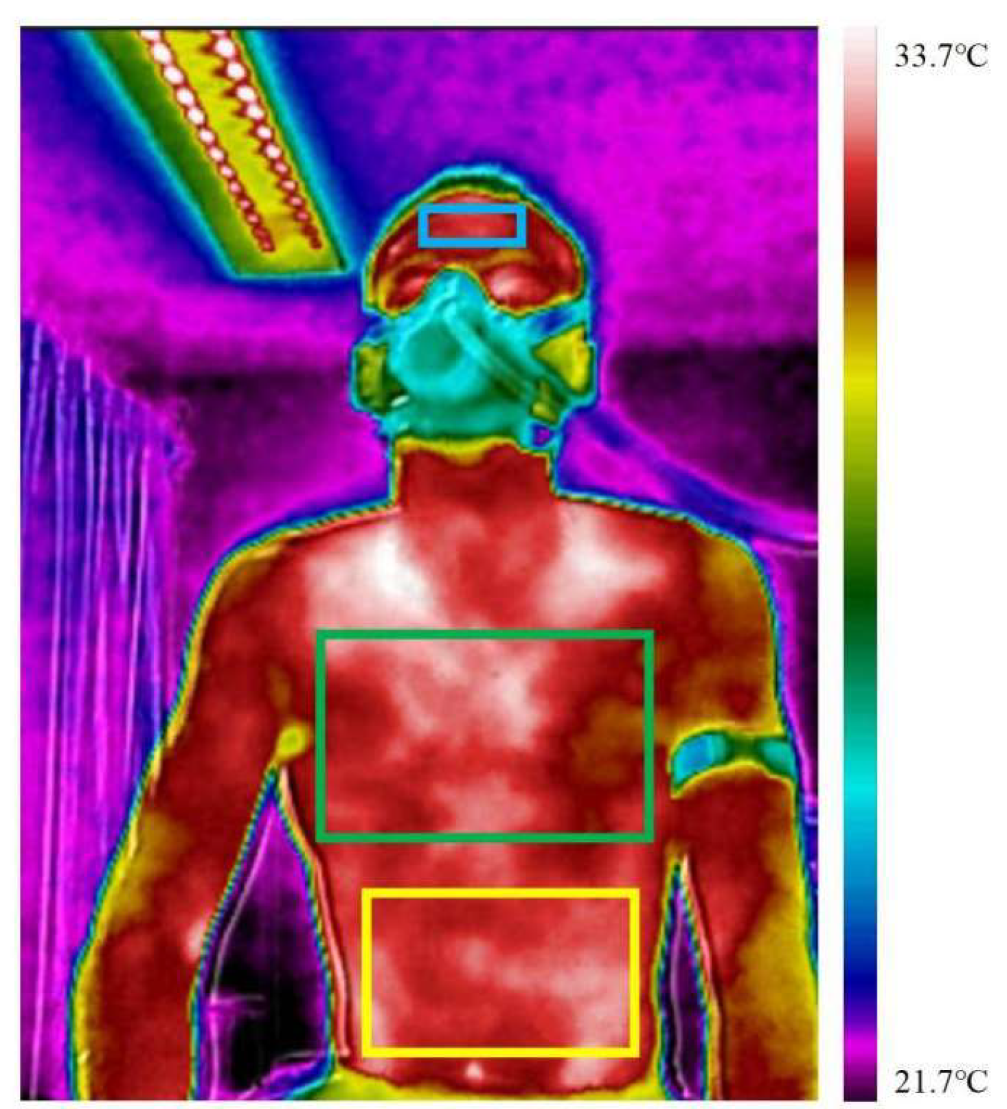 Bioengineering 12 00280 g001