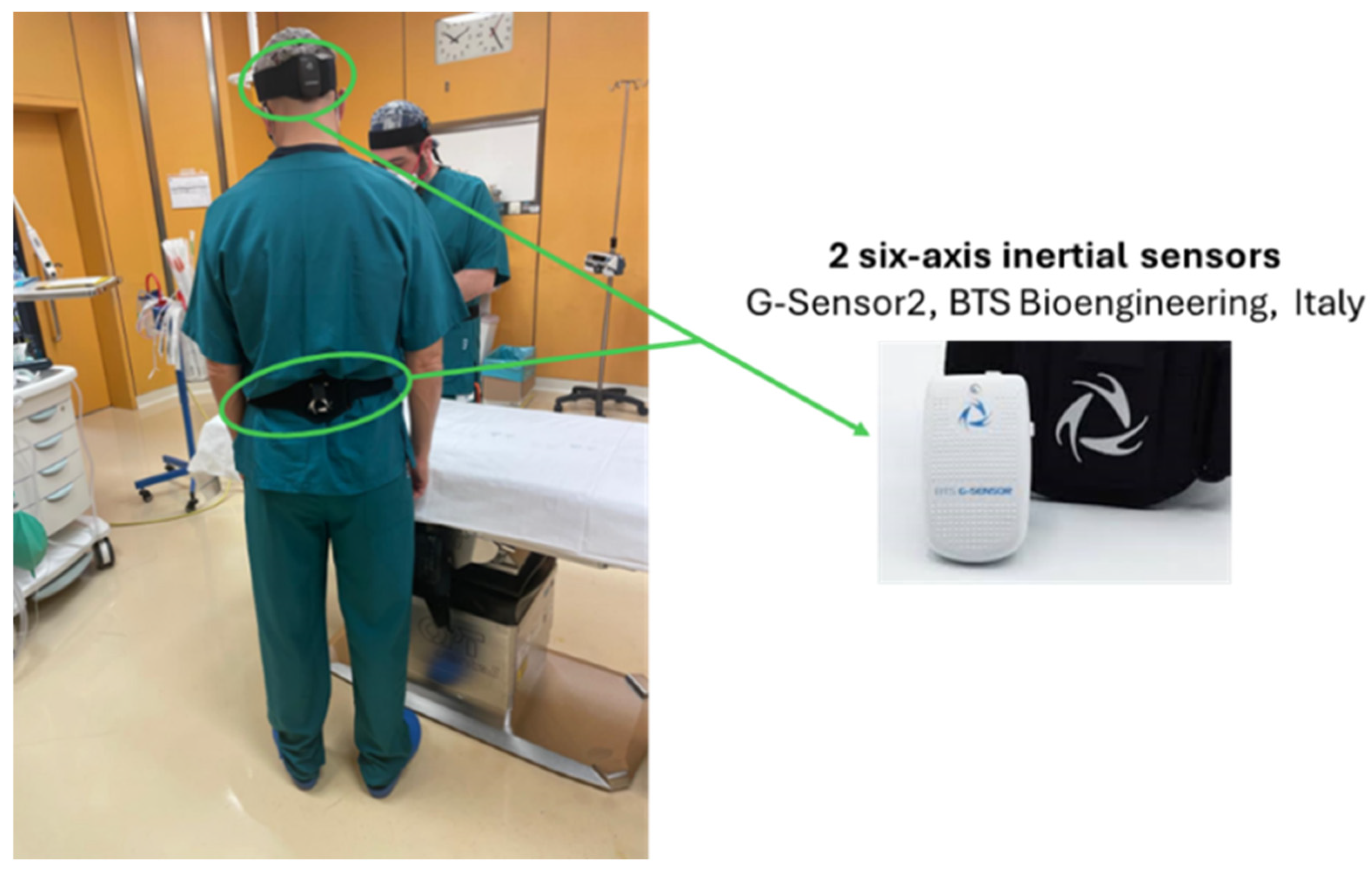 Bioengineering 12 00299 g001