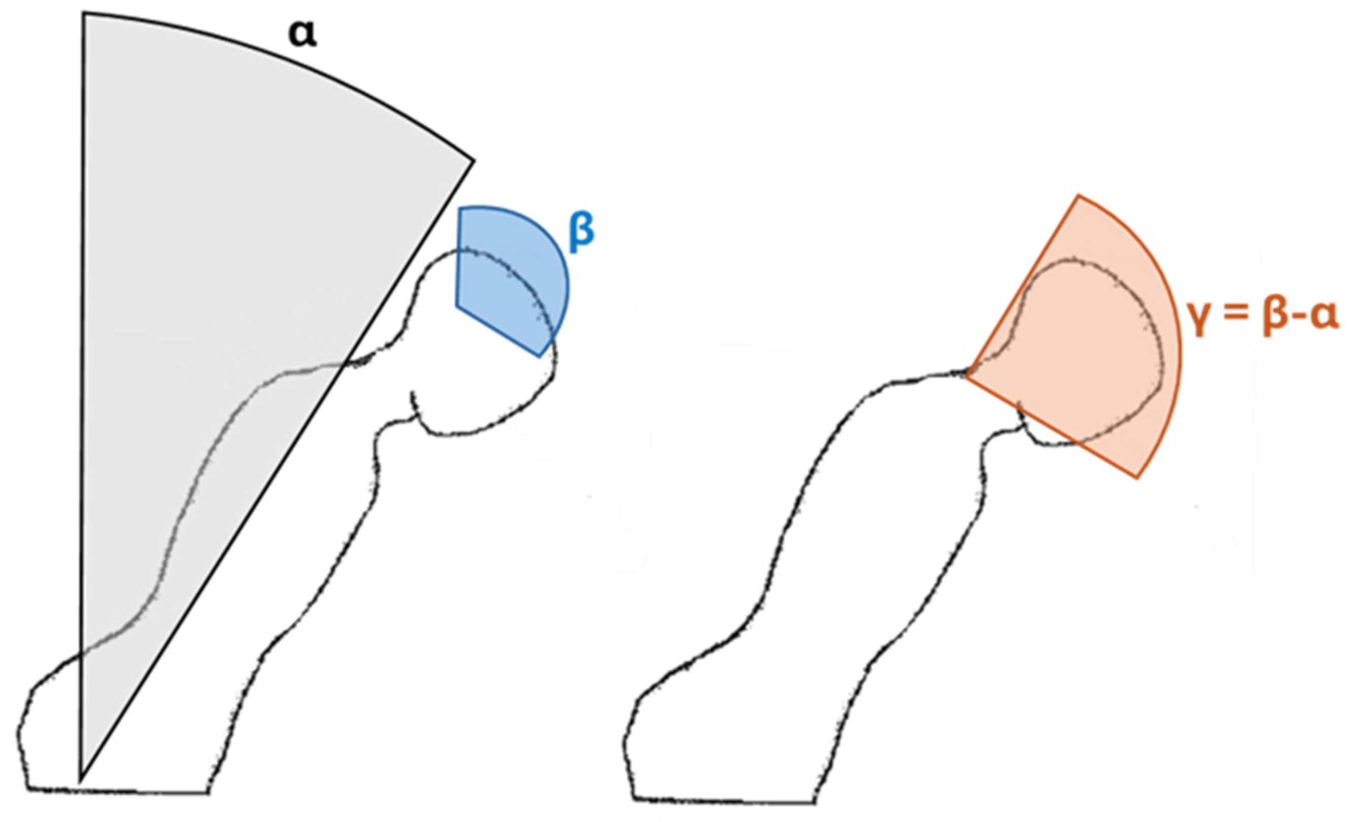 Bioengineering 12 00299 g002
