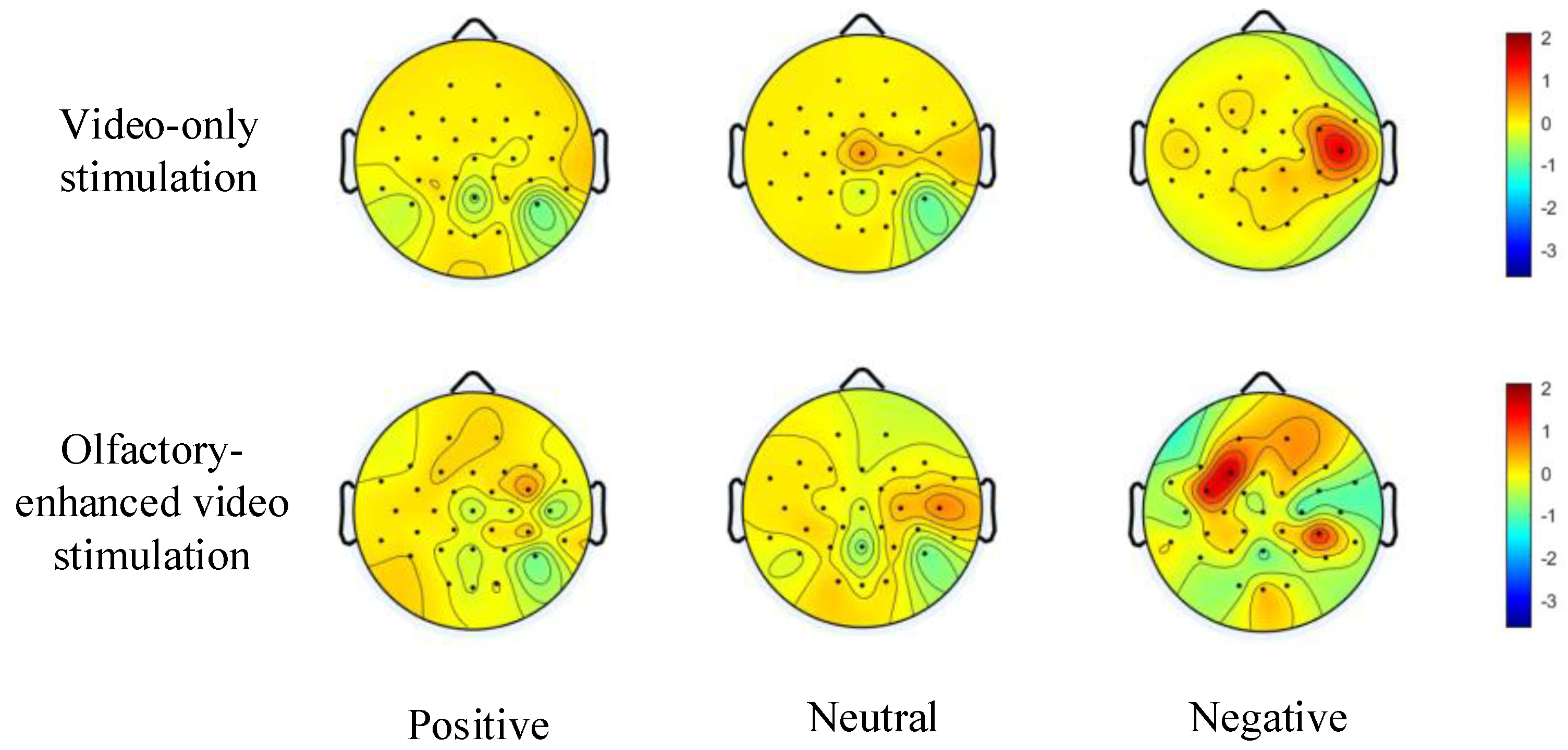 Bioengineering 12 00310 g006
