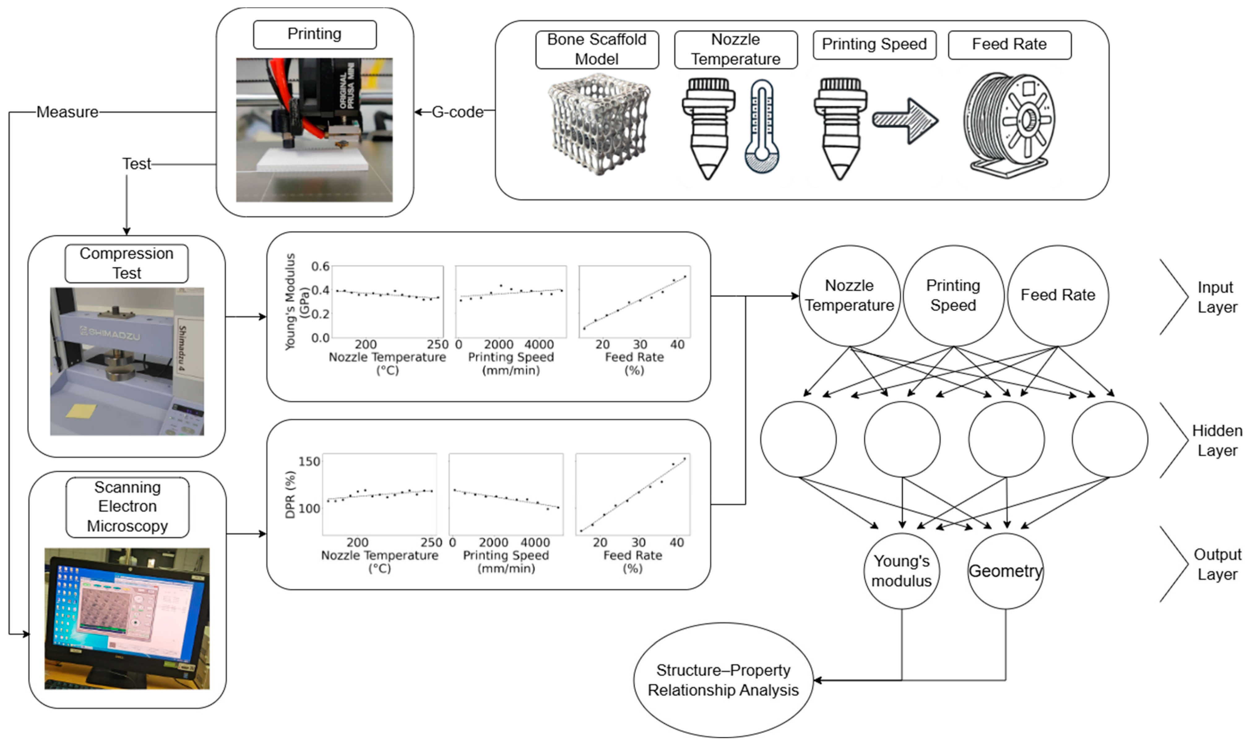 Bioengineering 12 00315 g001