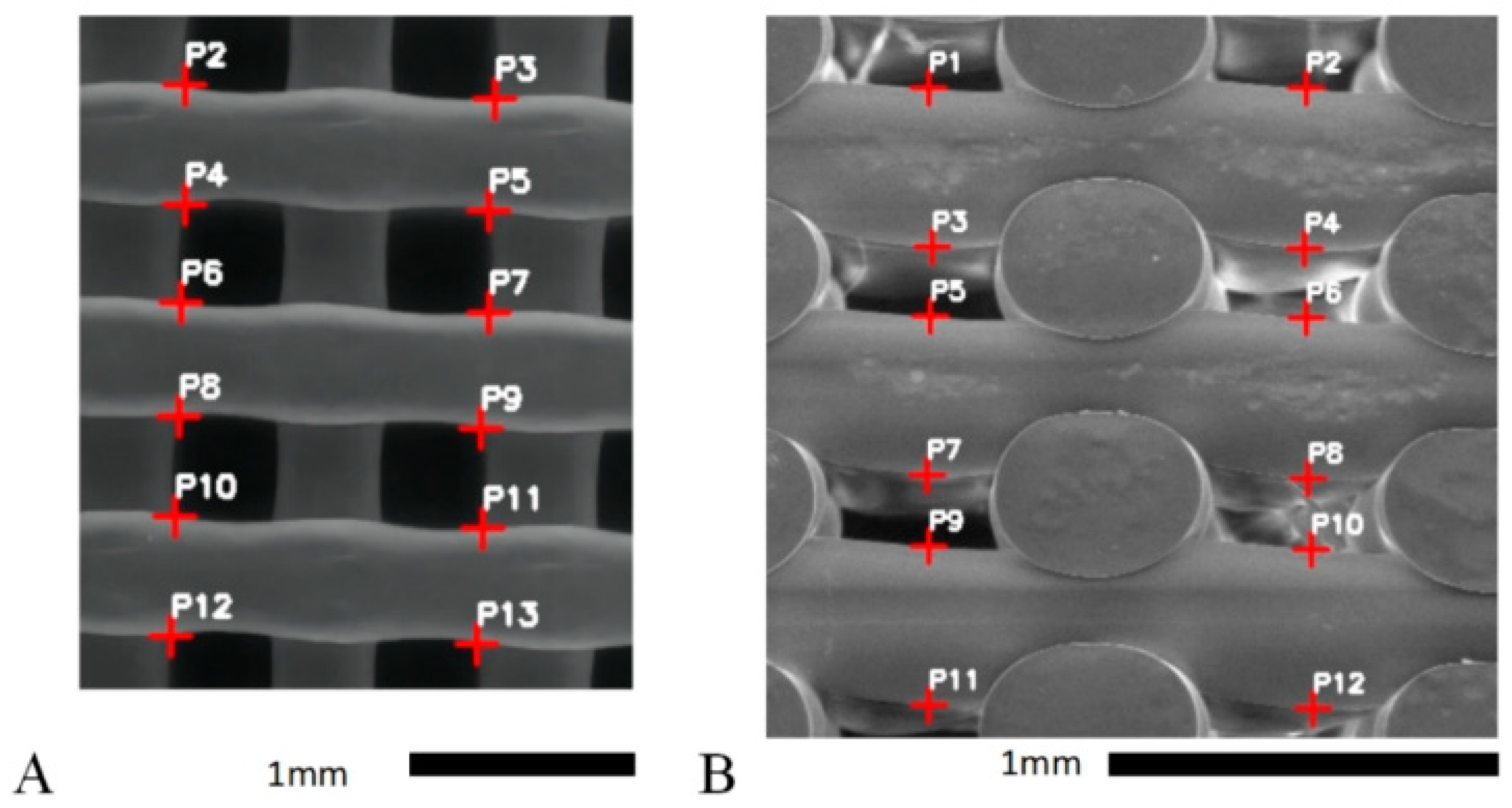 Bioengineering 12 00315 g003
