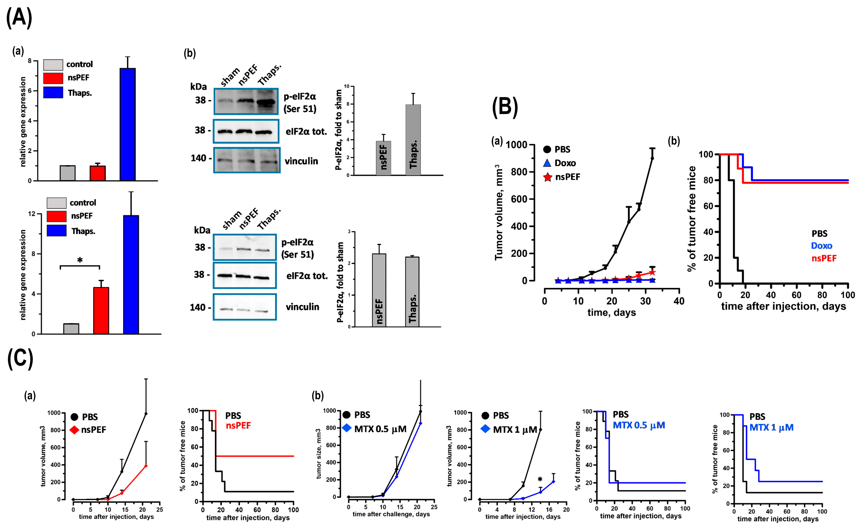 Bioengineering 12 00341 g002