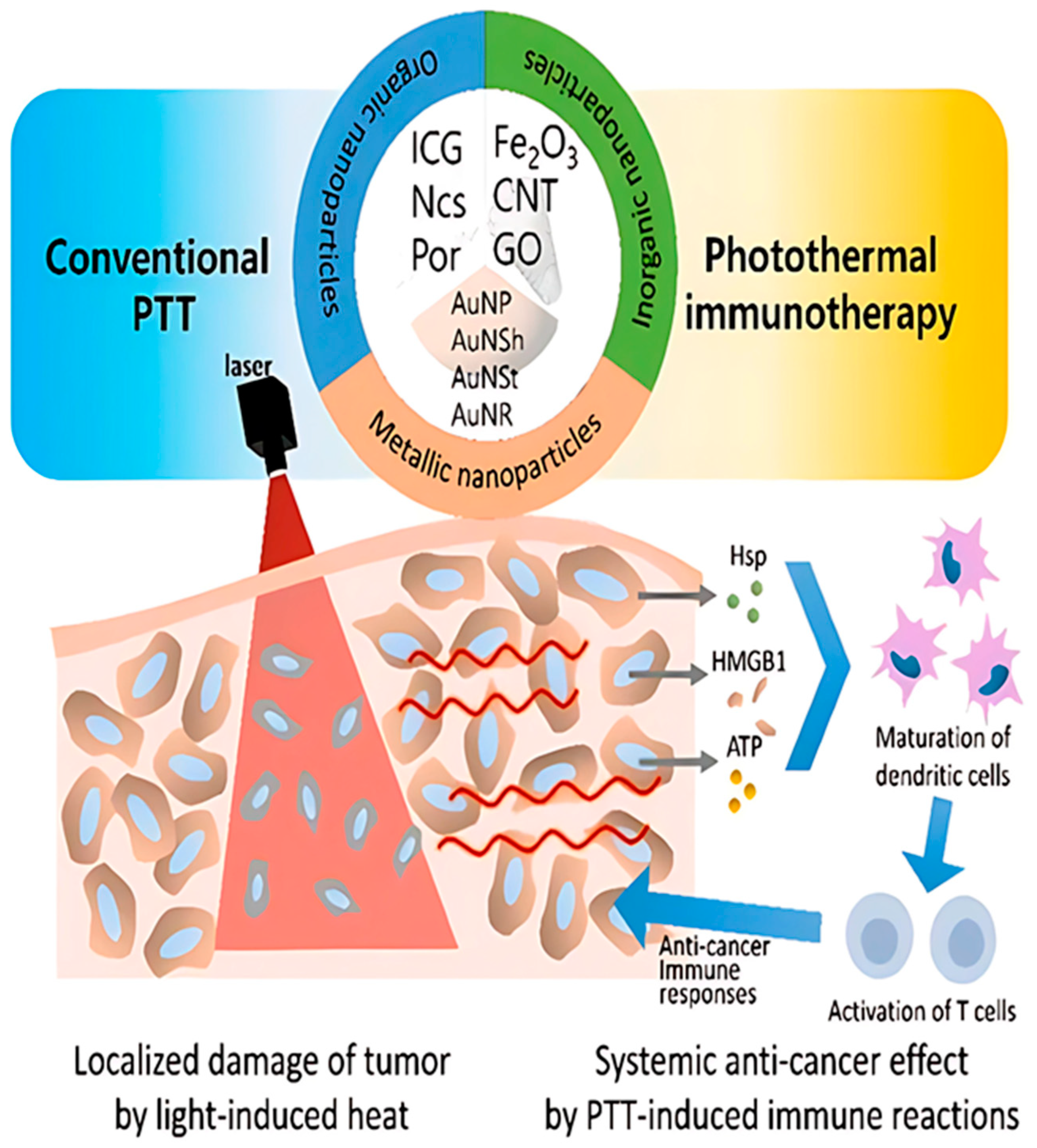 Bioengineering 12 00341 g003