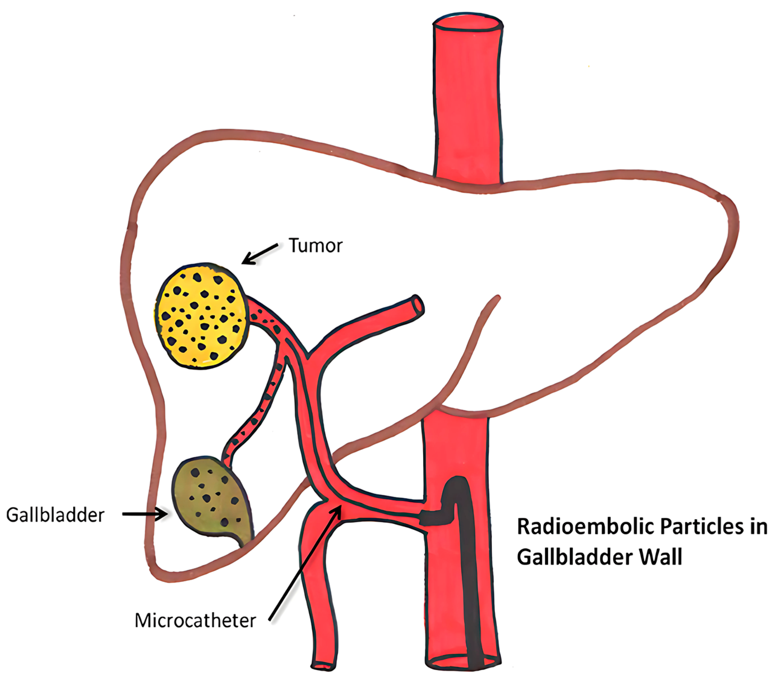 Bioengineering 12 00341 g005