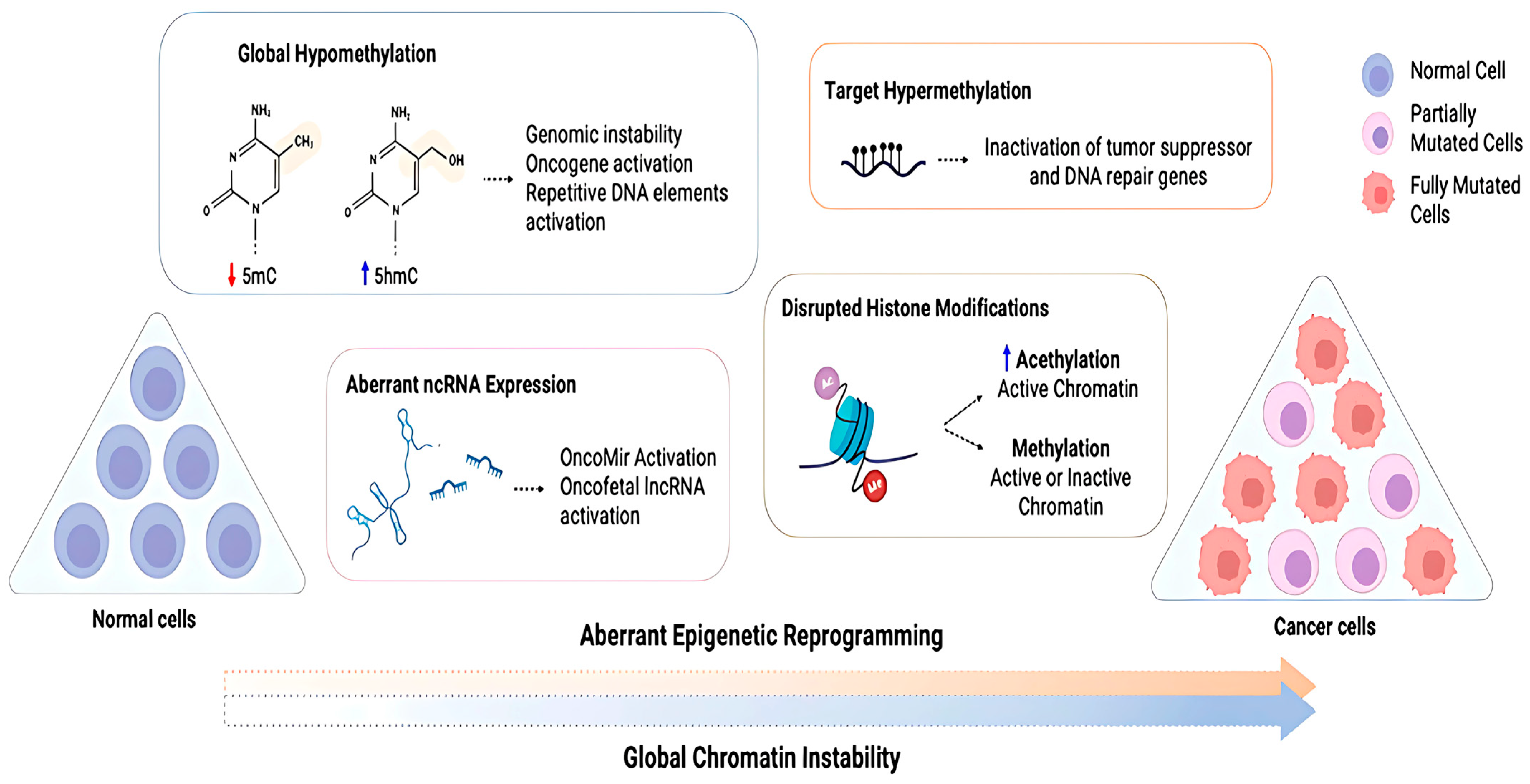 Bioengineering 12 00341 g006