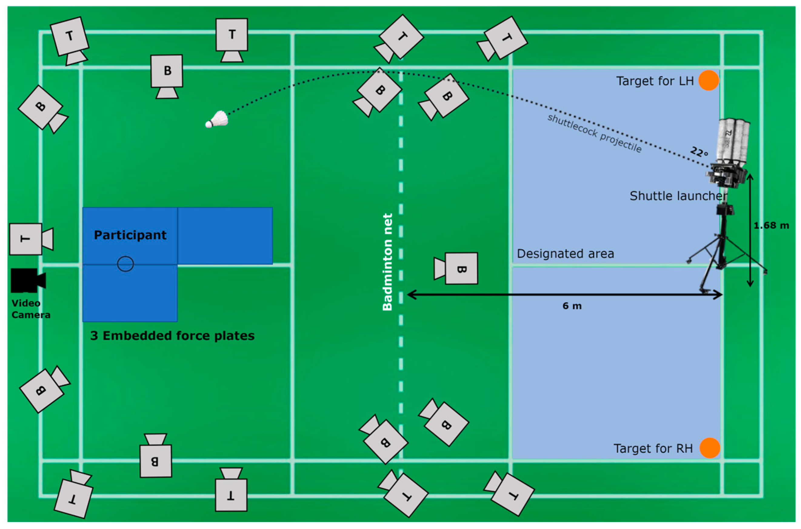 Bioengineering 12 00343 g001