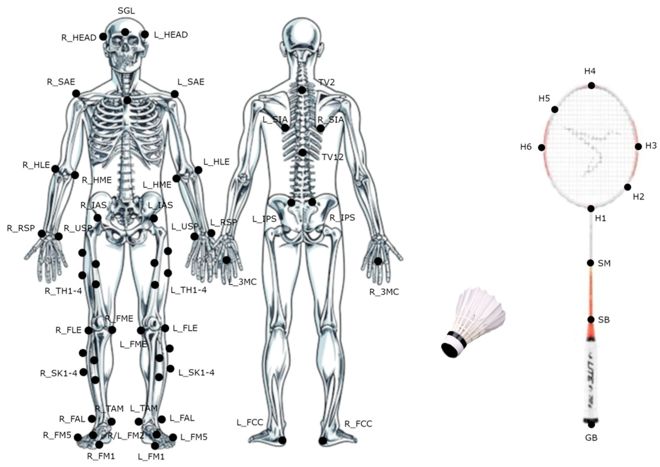 Bioengineering 12 00343 g002