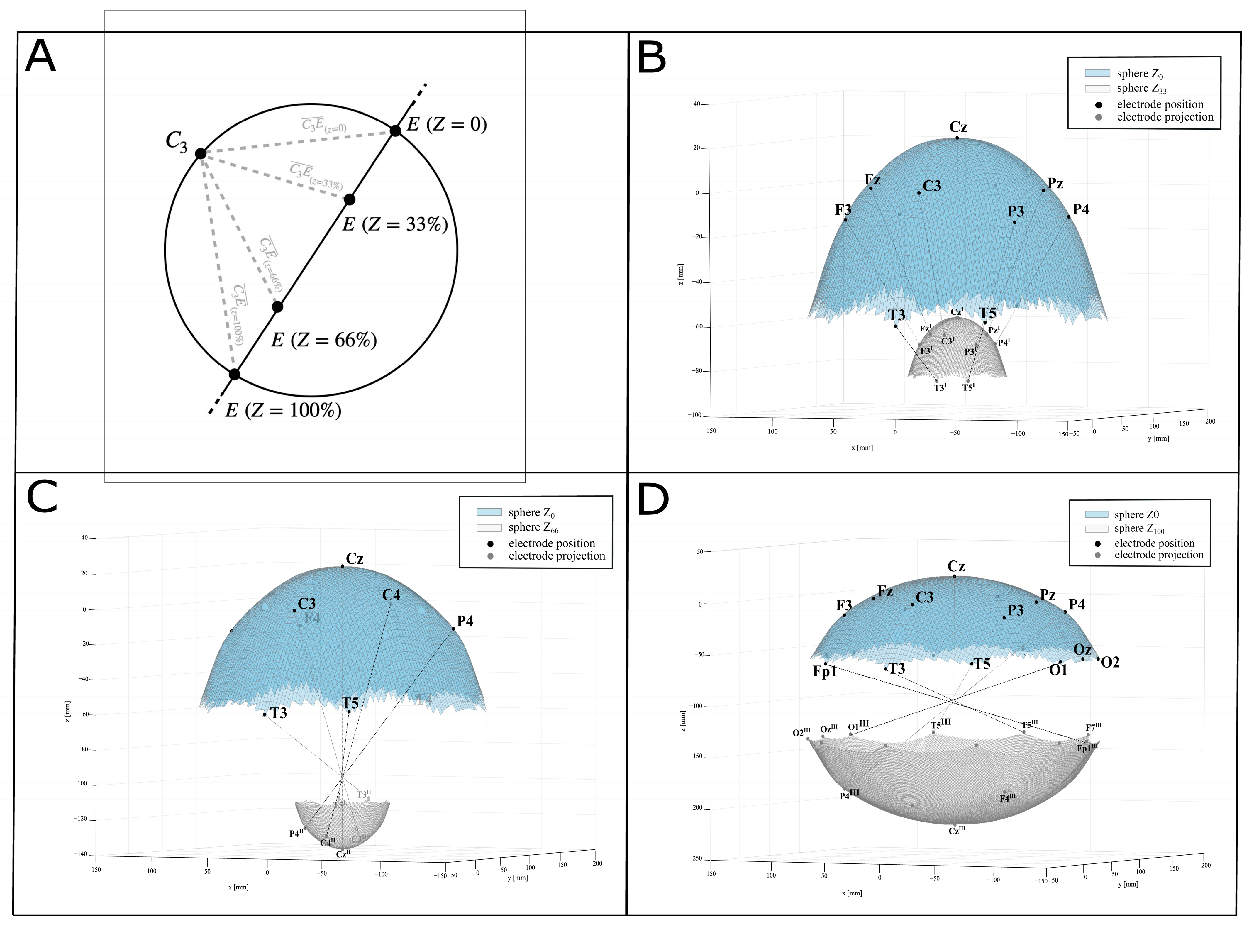 Bioengineering 12 00346 g002