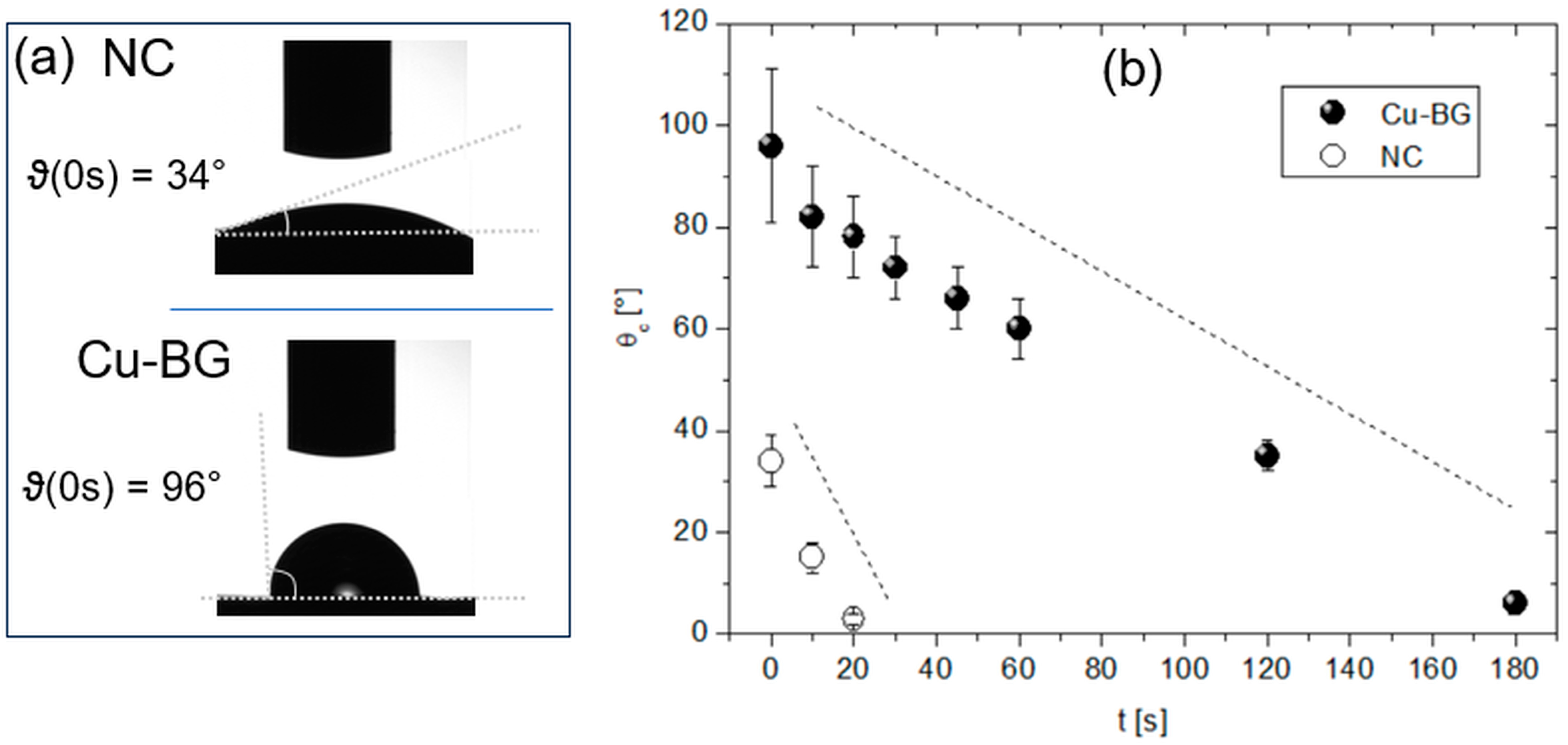 Bioengineering 12 00354 g002