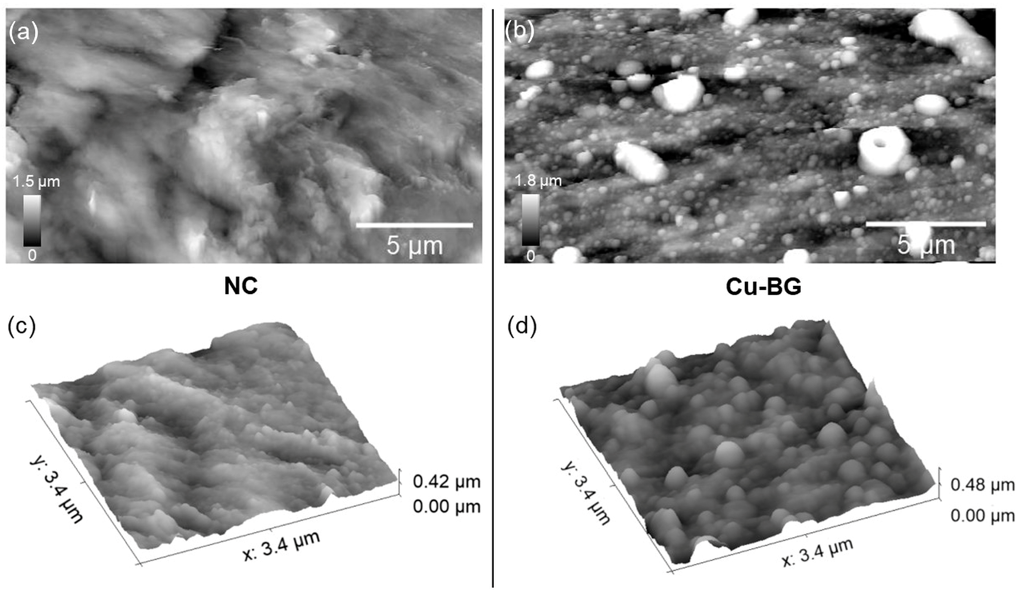 Bioengineering 12 00354 g004