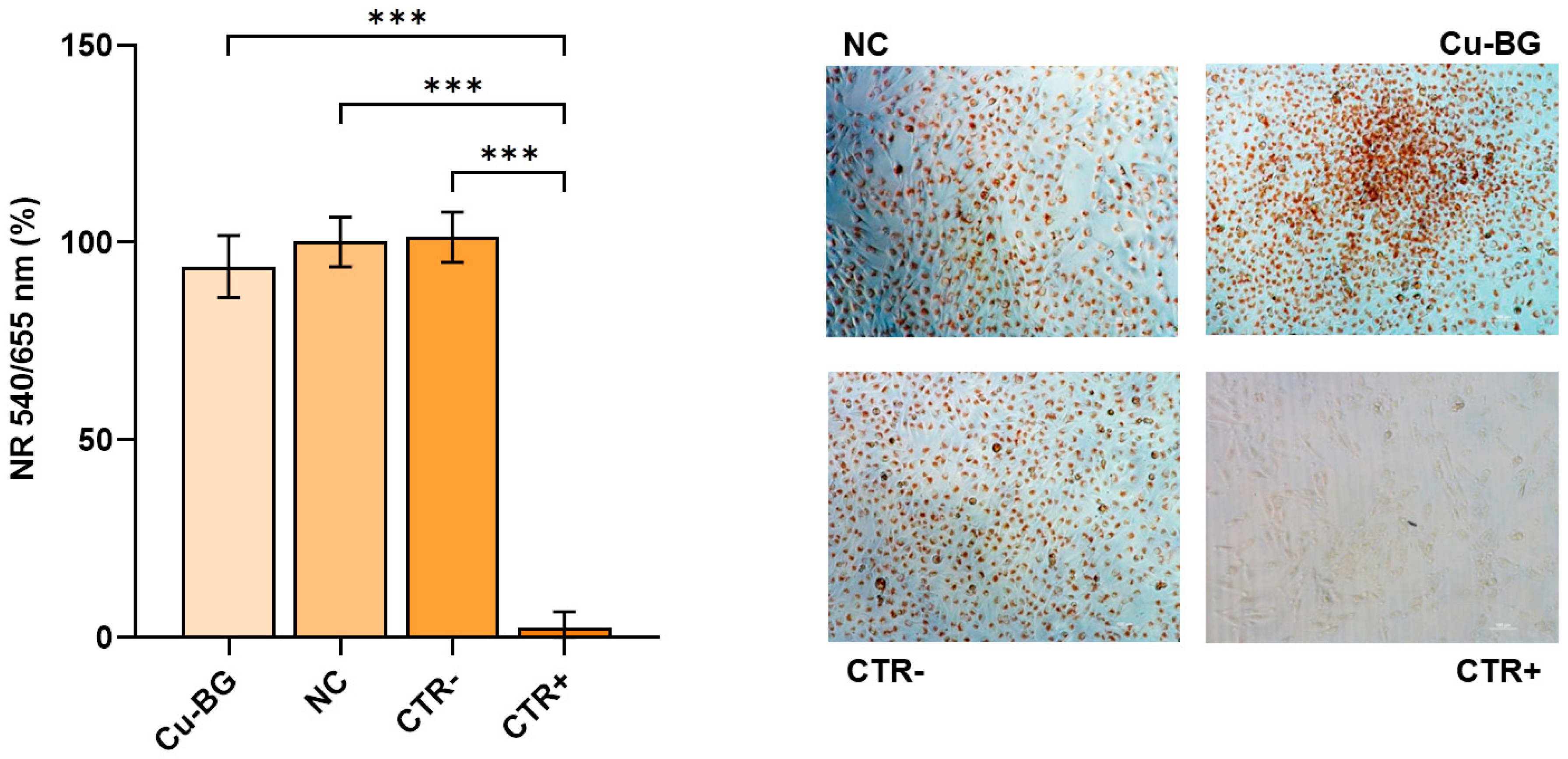 Bioengineering 12 00354 g007