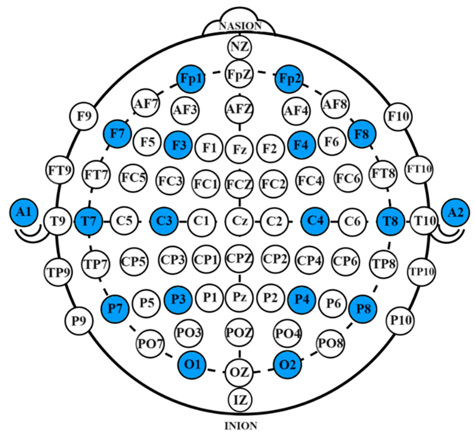 Bioengineering 12 00359 g011