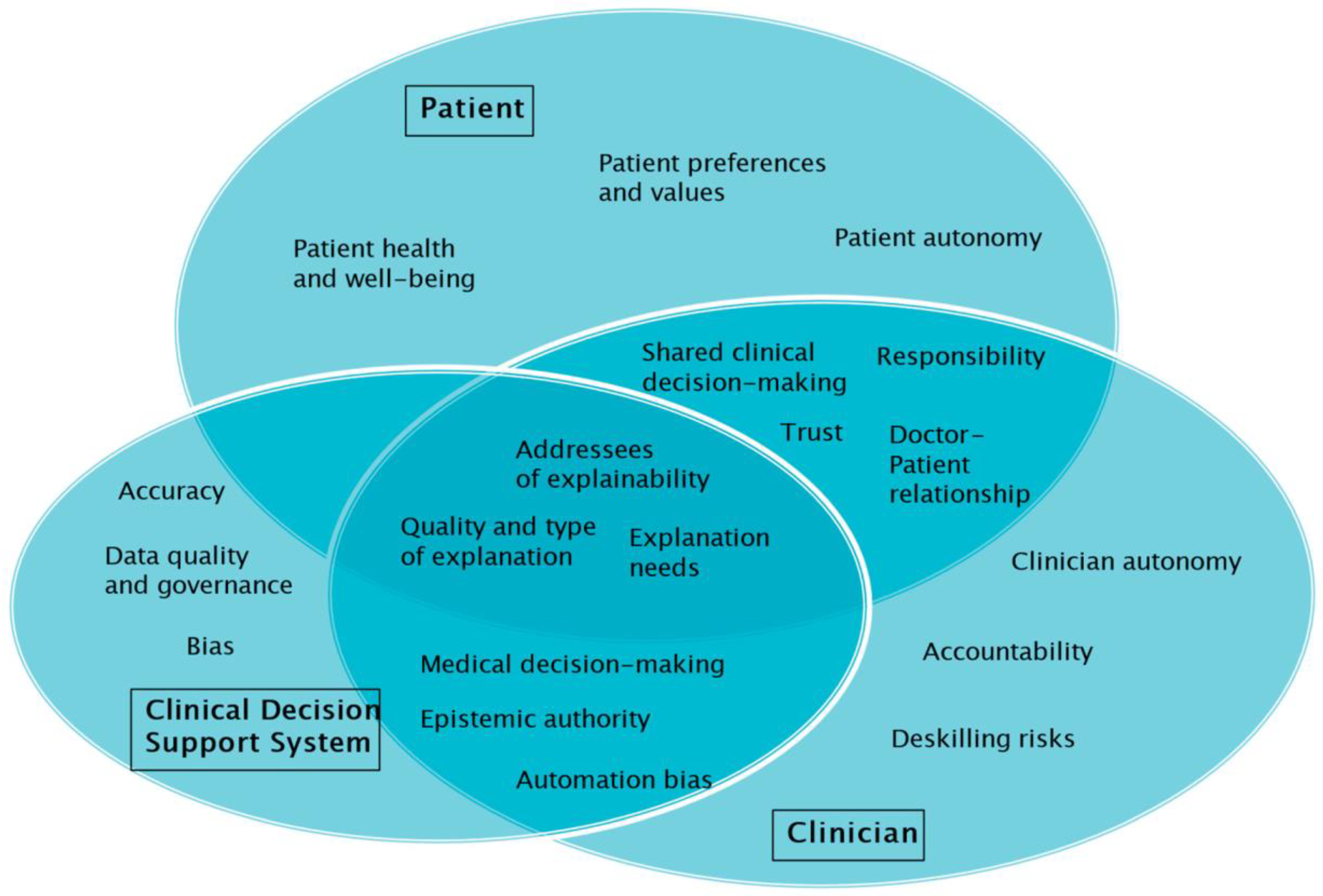 Bioengineering 12 00375 g001