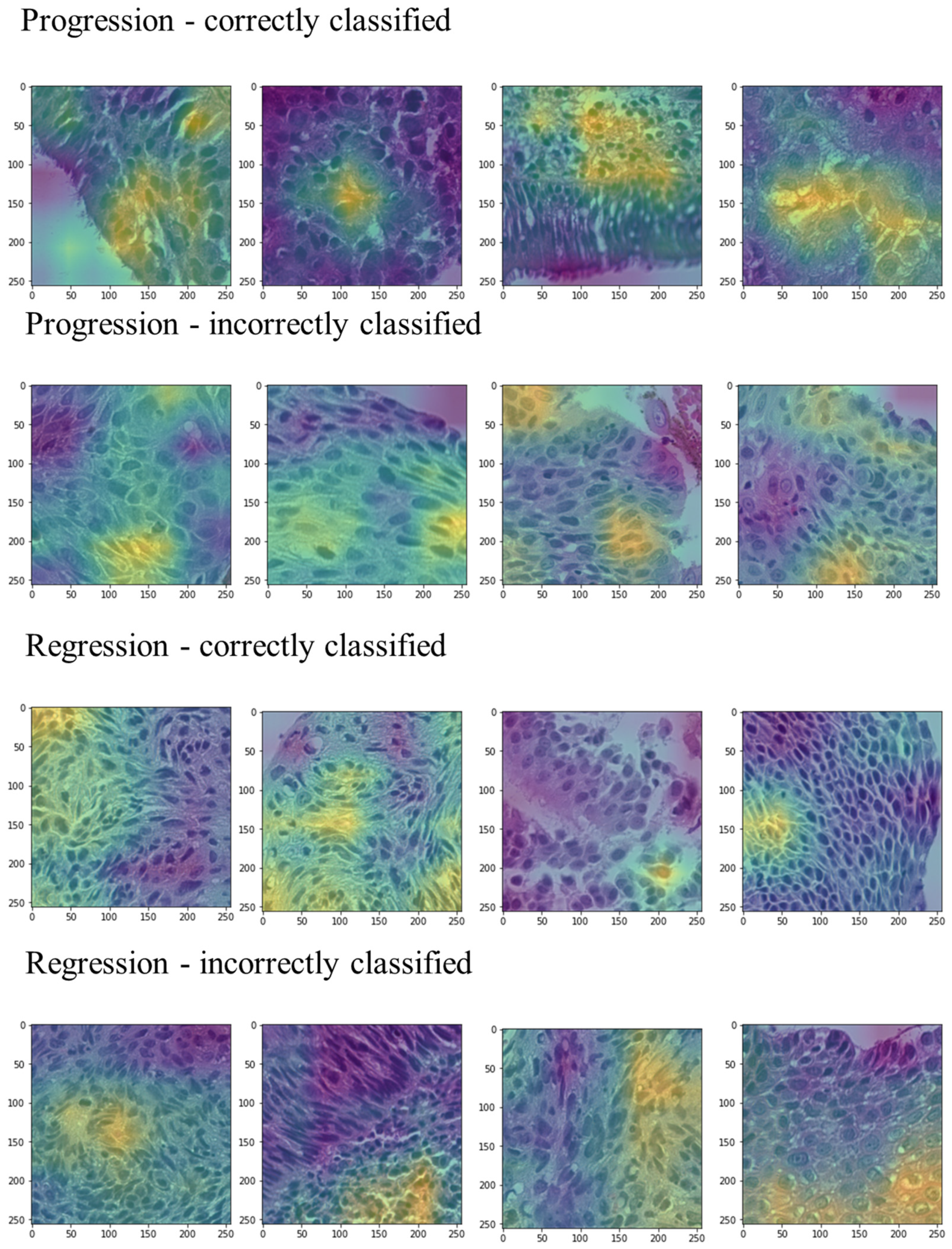 Bioengineering 12 00377 g006