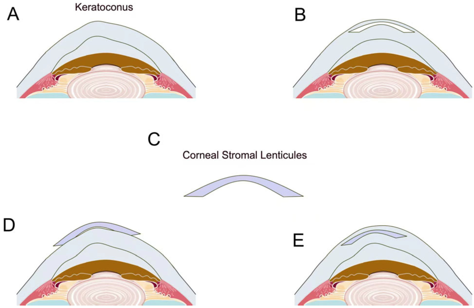 Bioengineering 12 00380 g002