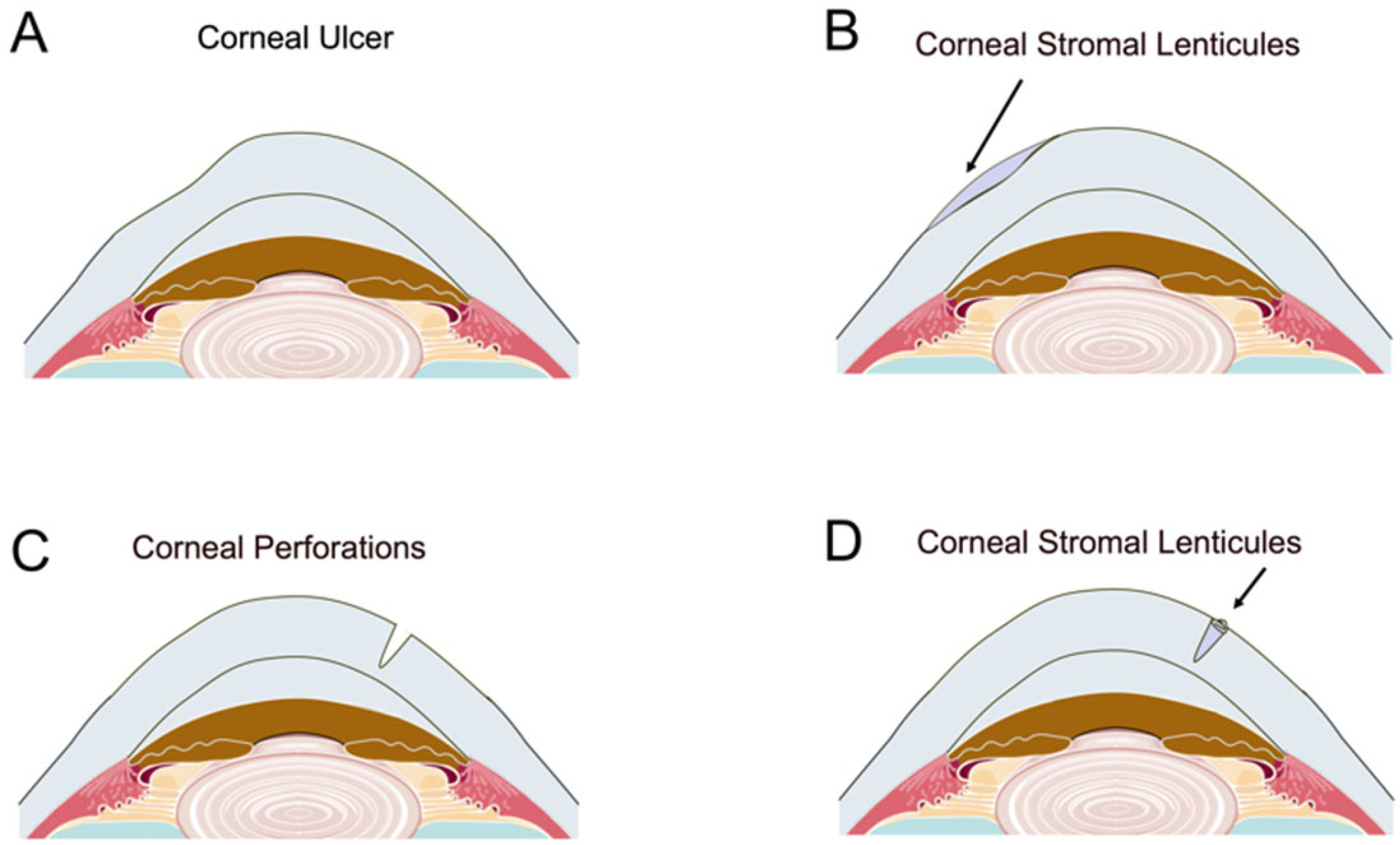Bioengineering 12 00380 g003