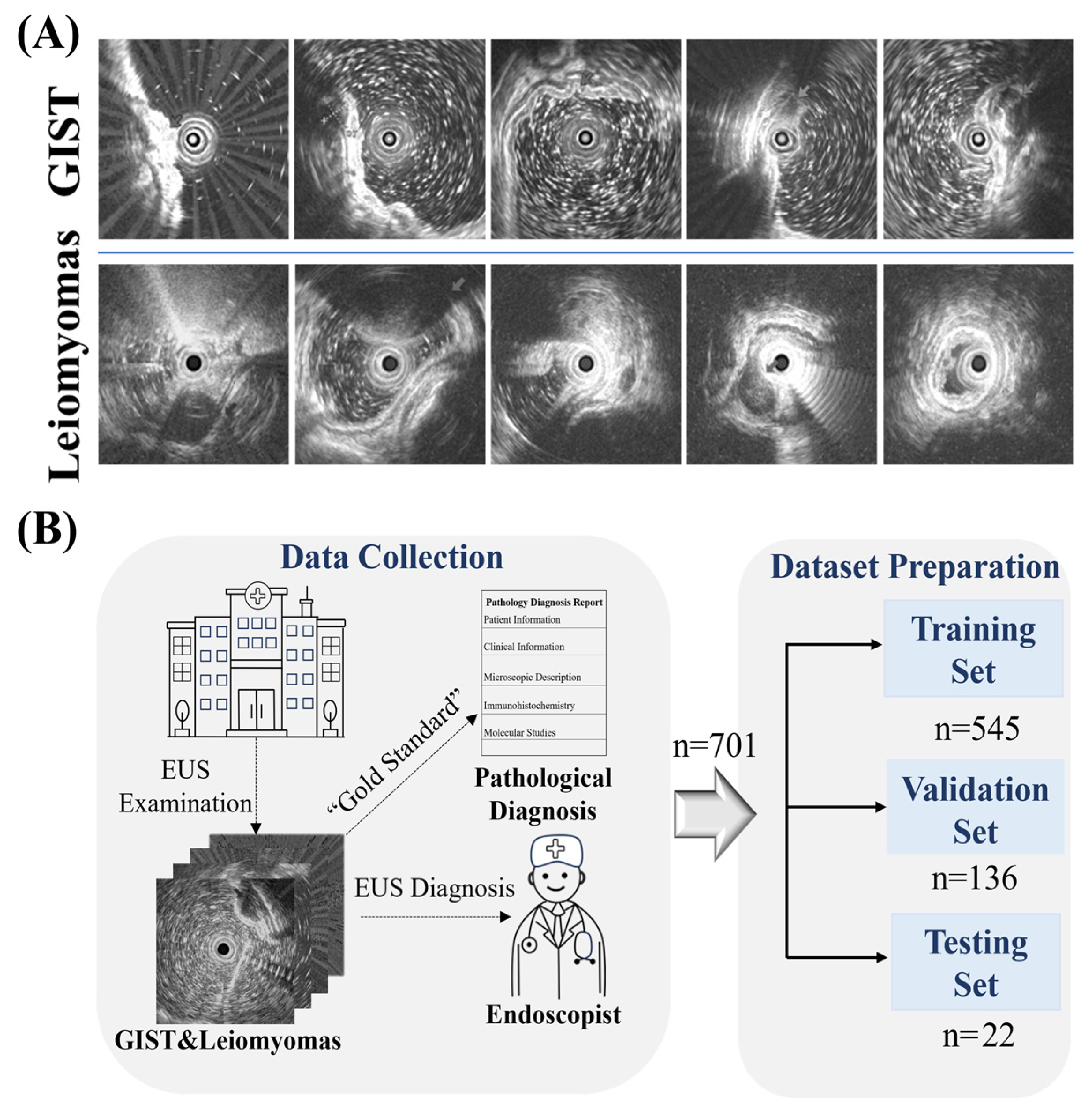 Bioengineering 12 00381 g001