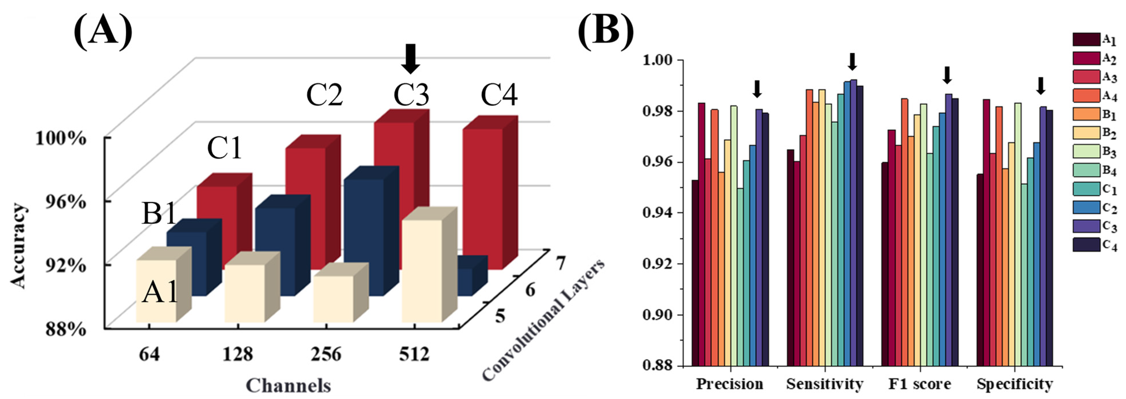 Bioengineering 12 00381 g005