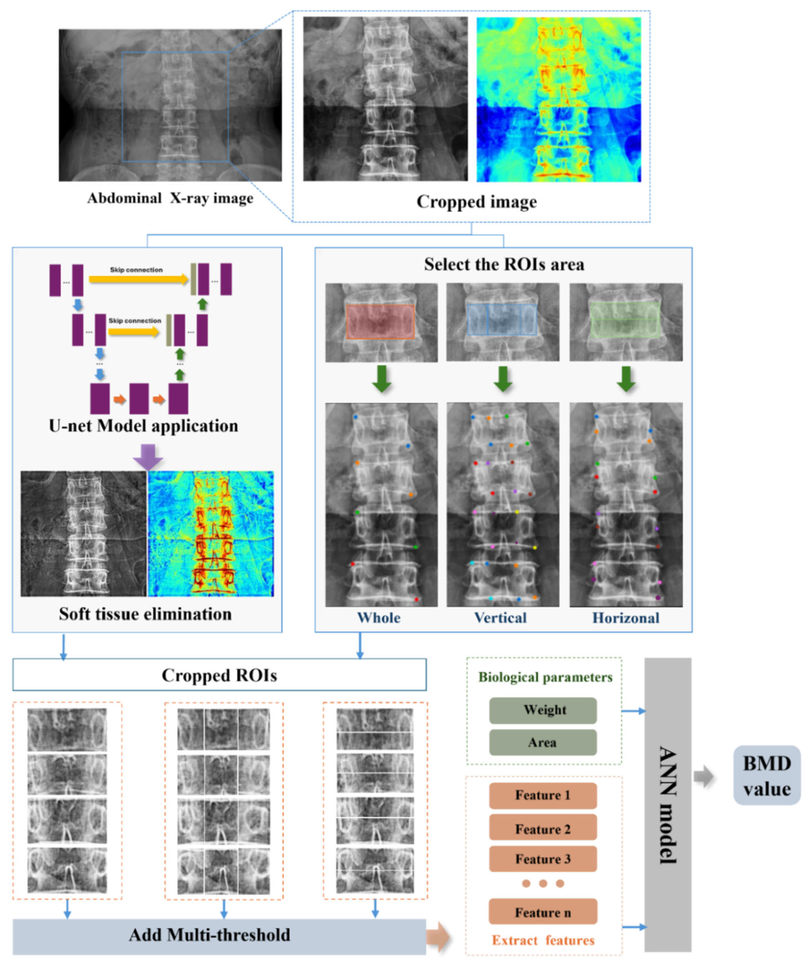 Bioengineering 12 00385 g001