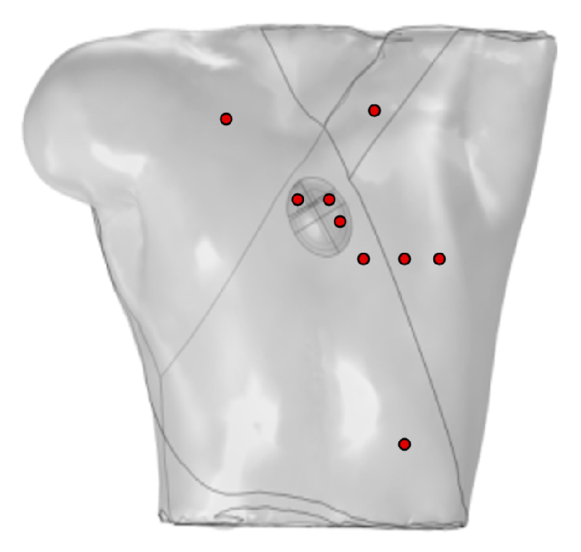 Bioengineering 12 00392 g003