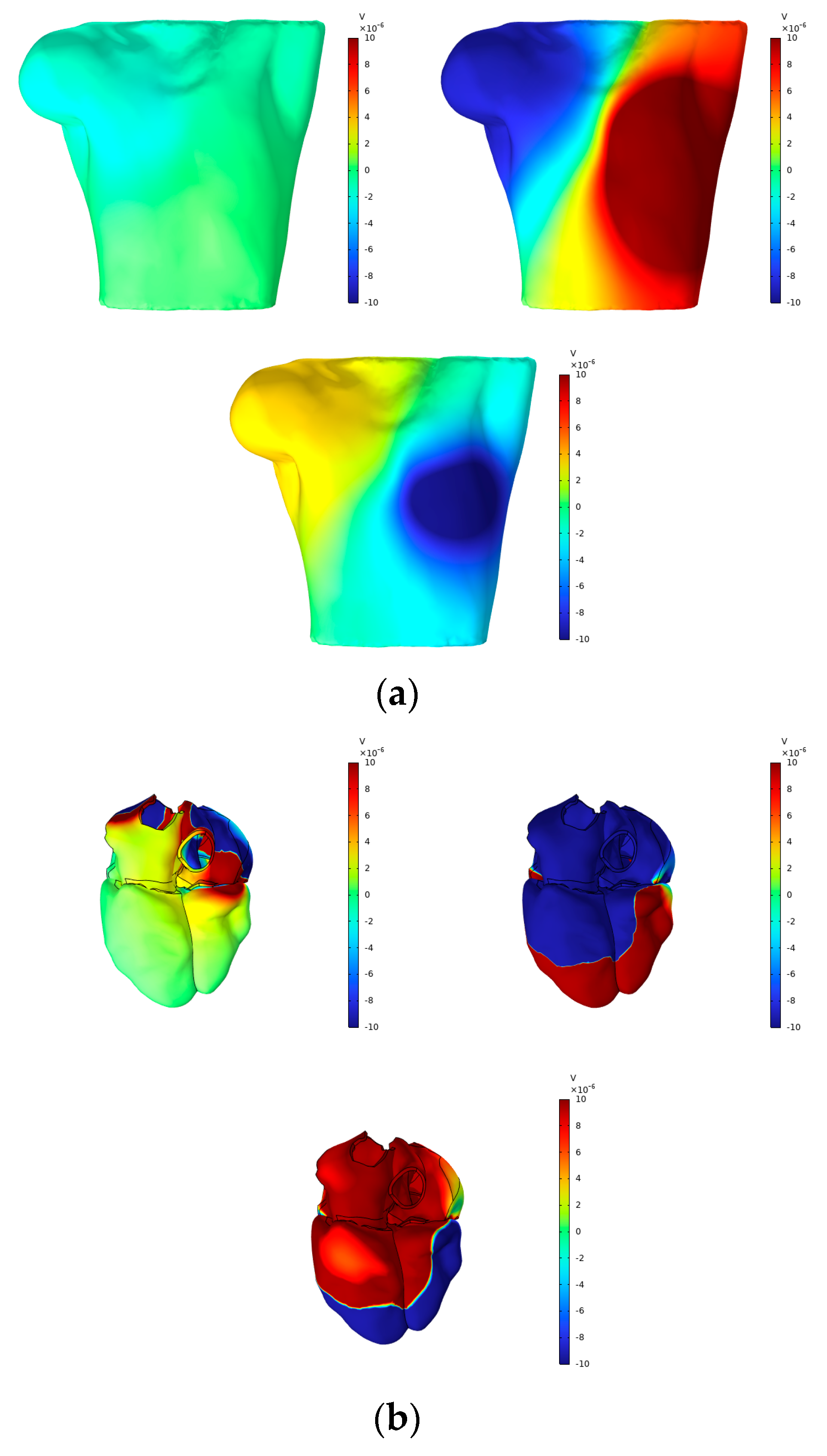 Bioengineering 12 00392 g012