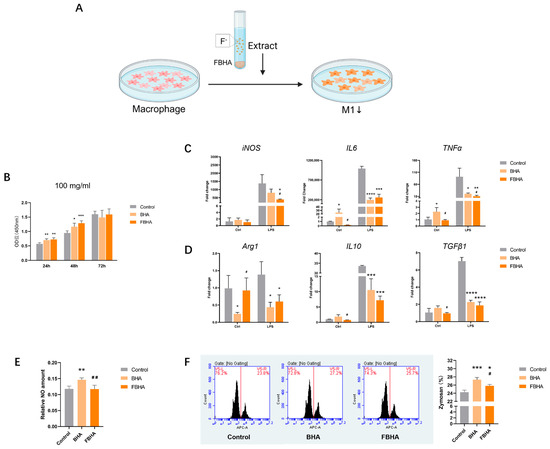 Bioengineering 12 00396 g002