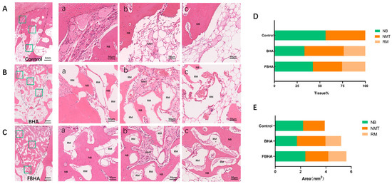 Bioengineering 12 00396 g007