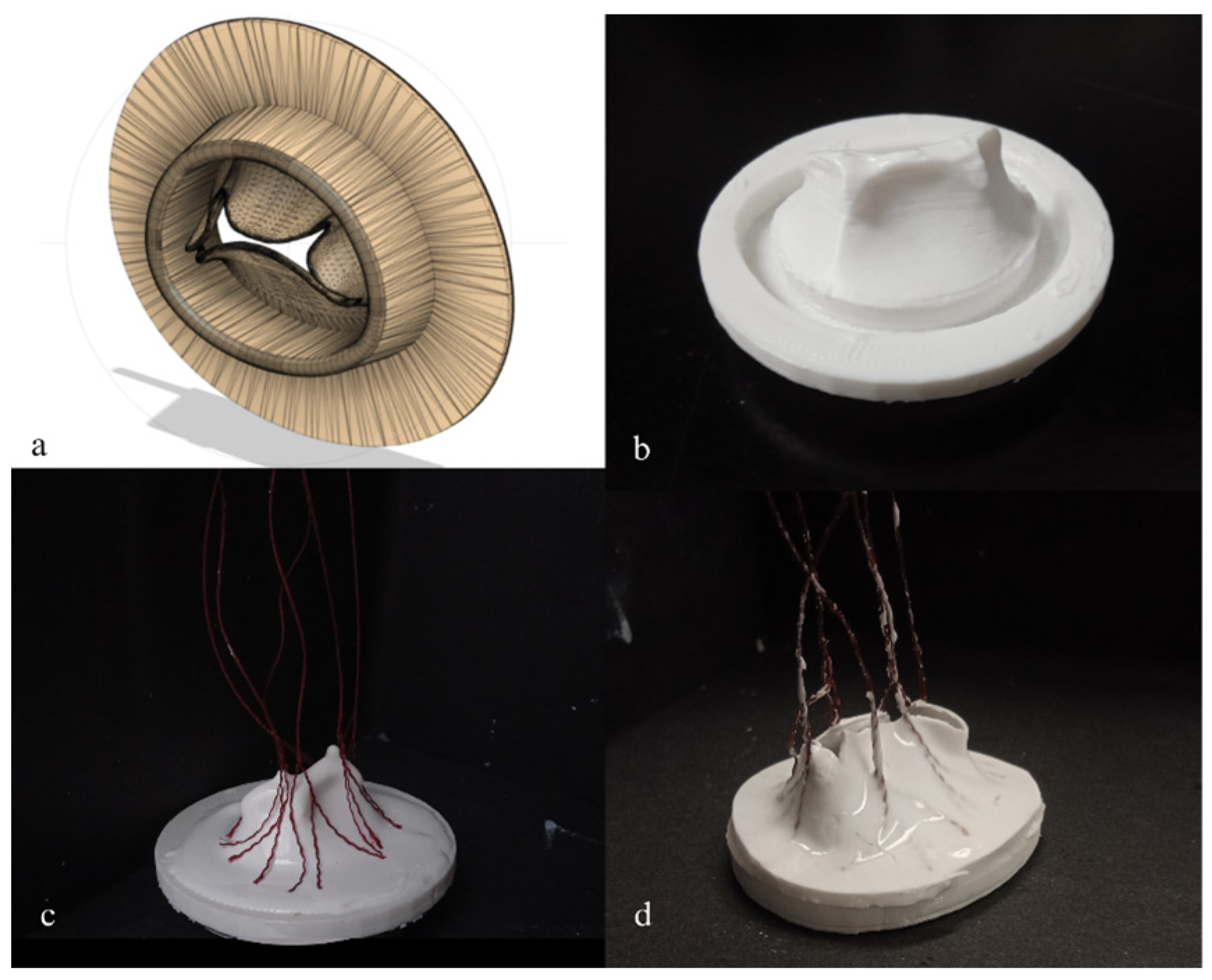 Bioengineering 12 00397 g001