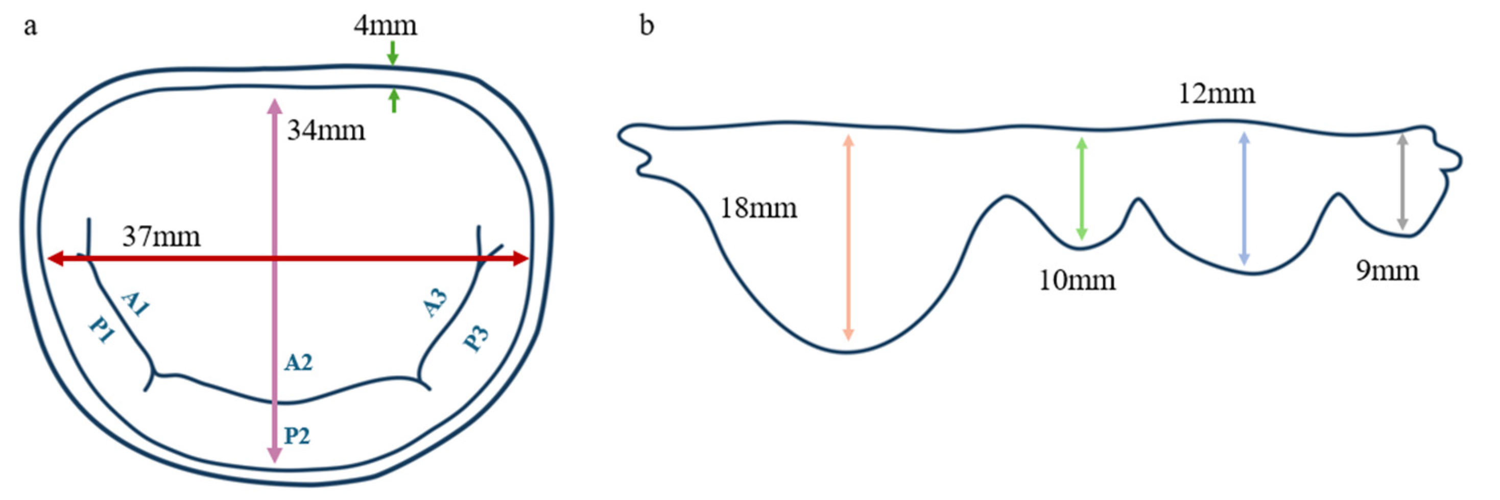Bioengineering 12 00397 g002