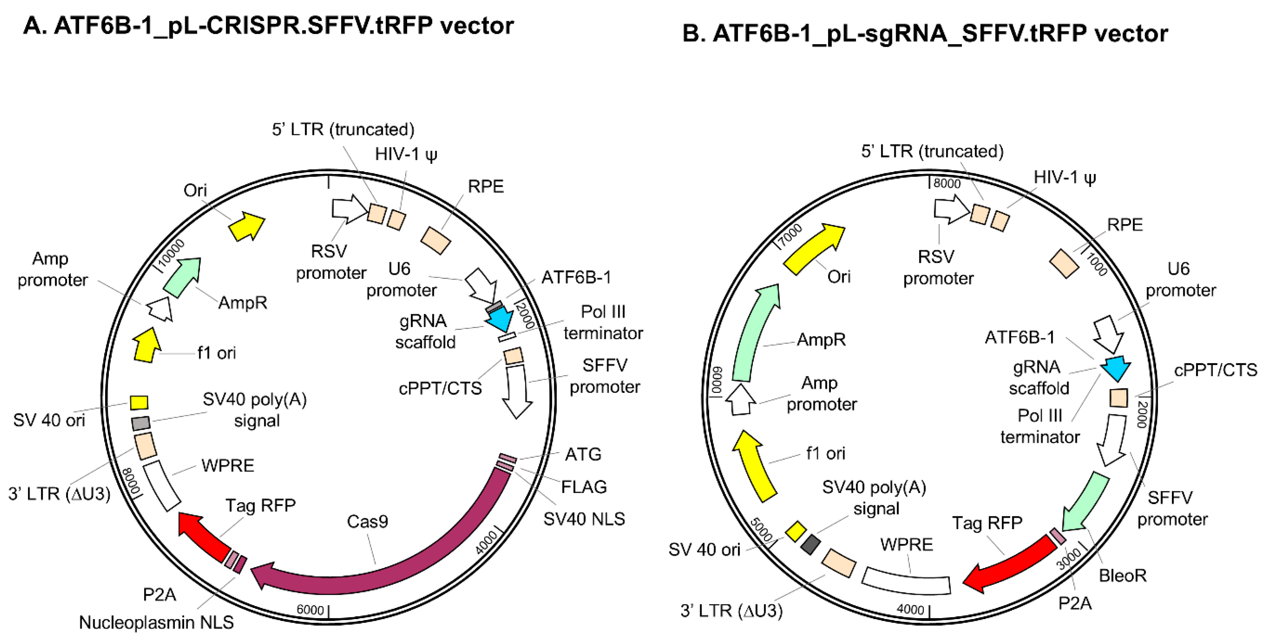 Bioengineering 12 00409 g002