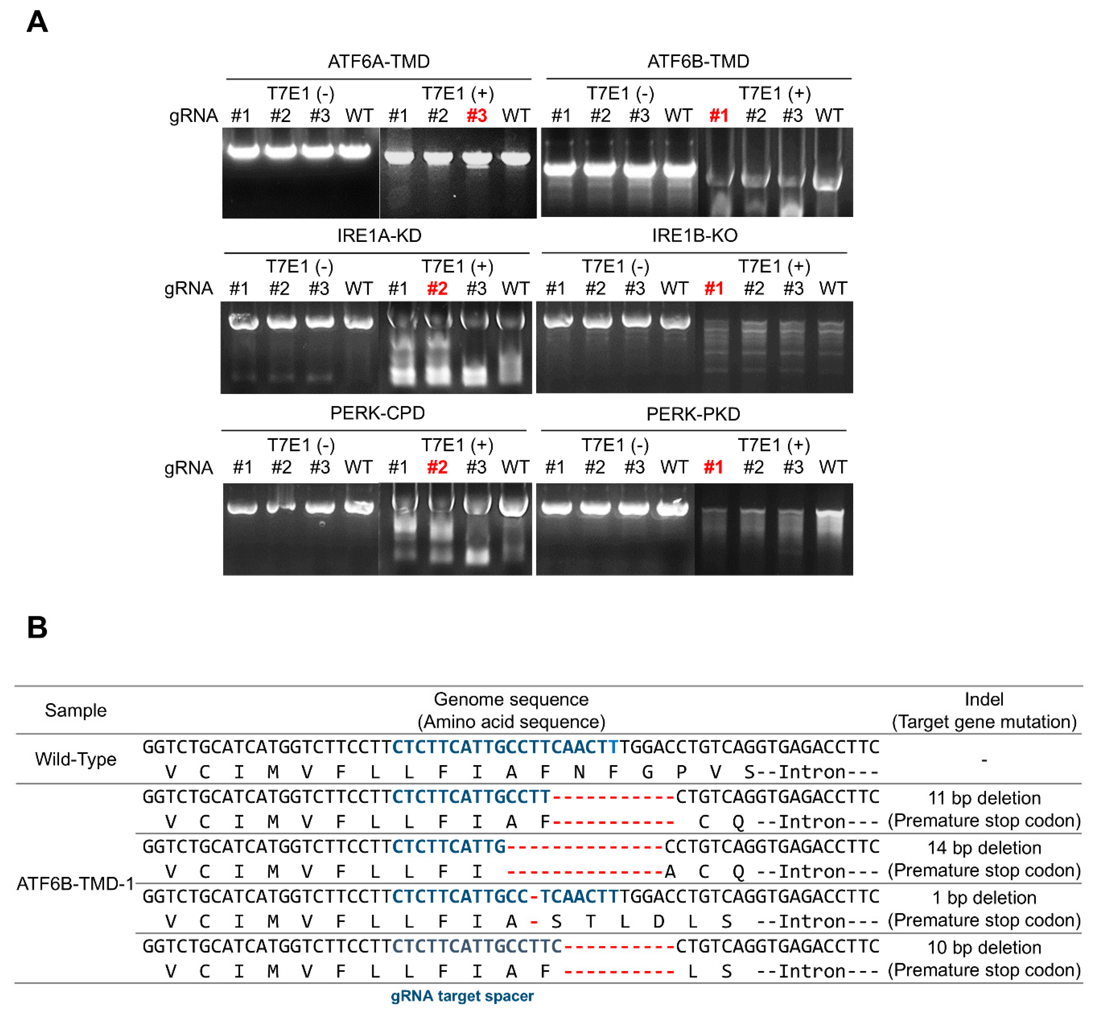 Bioengineering 12 00409 g004