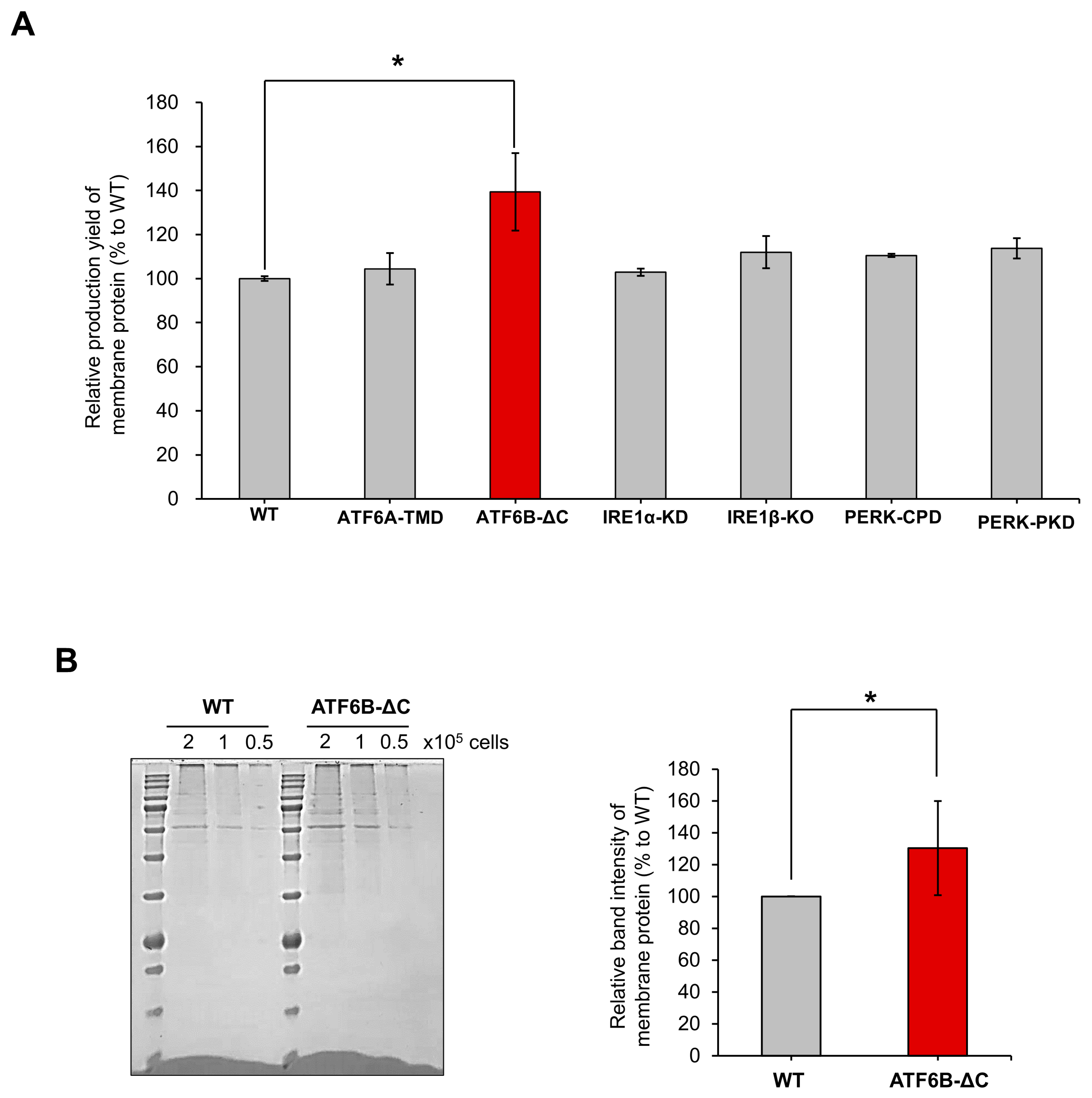 Bioengineering 12 00409 g005