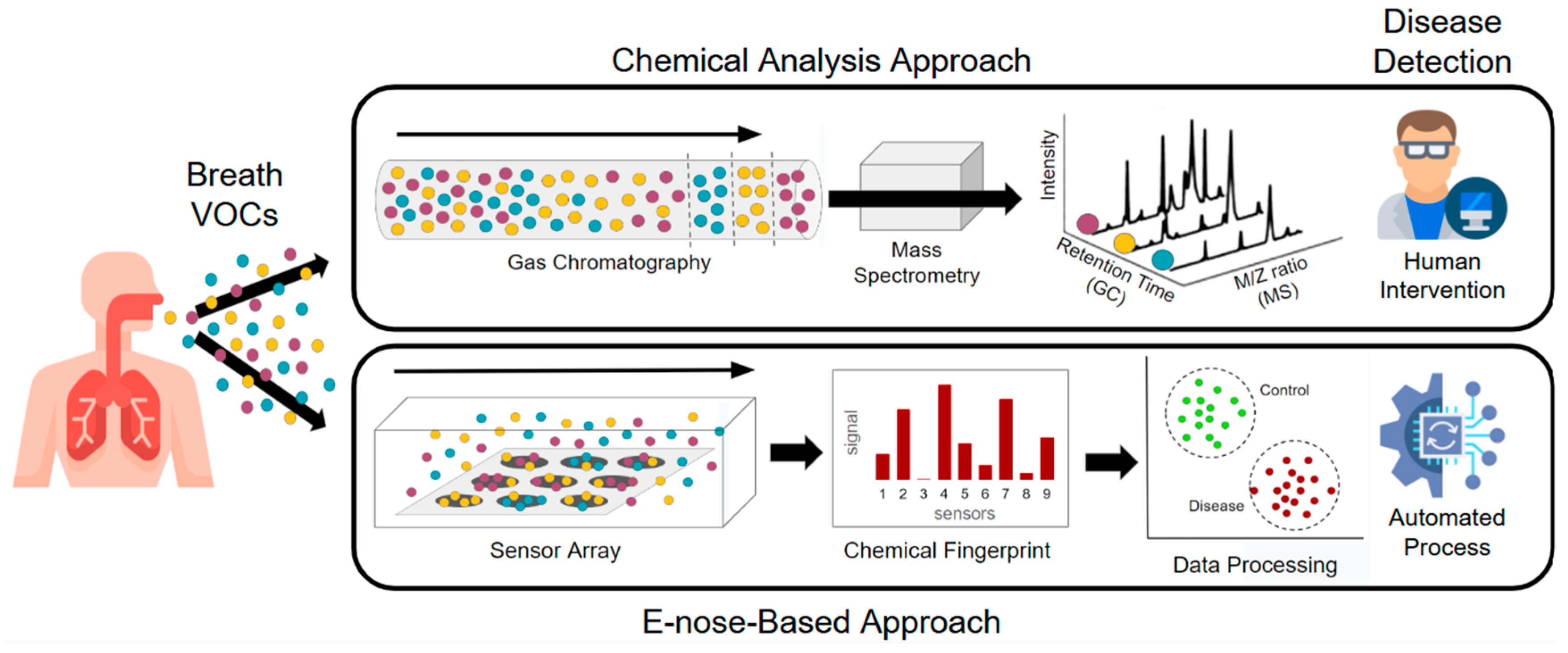 Bioengineering 12 00411 g002