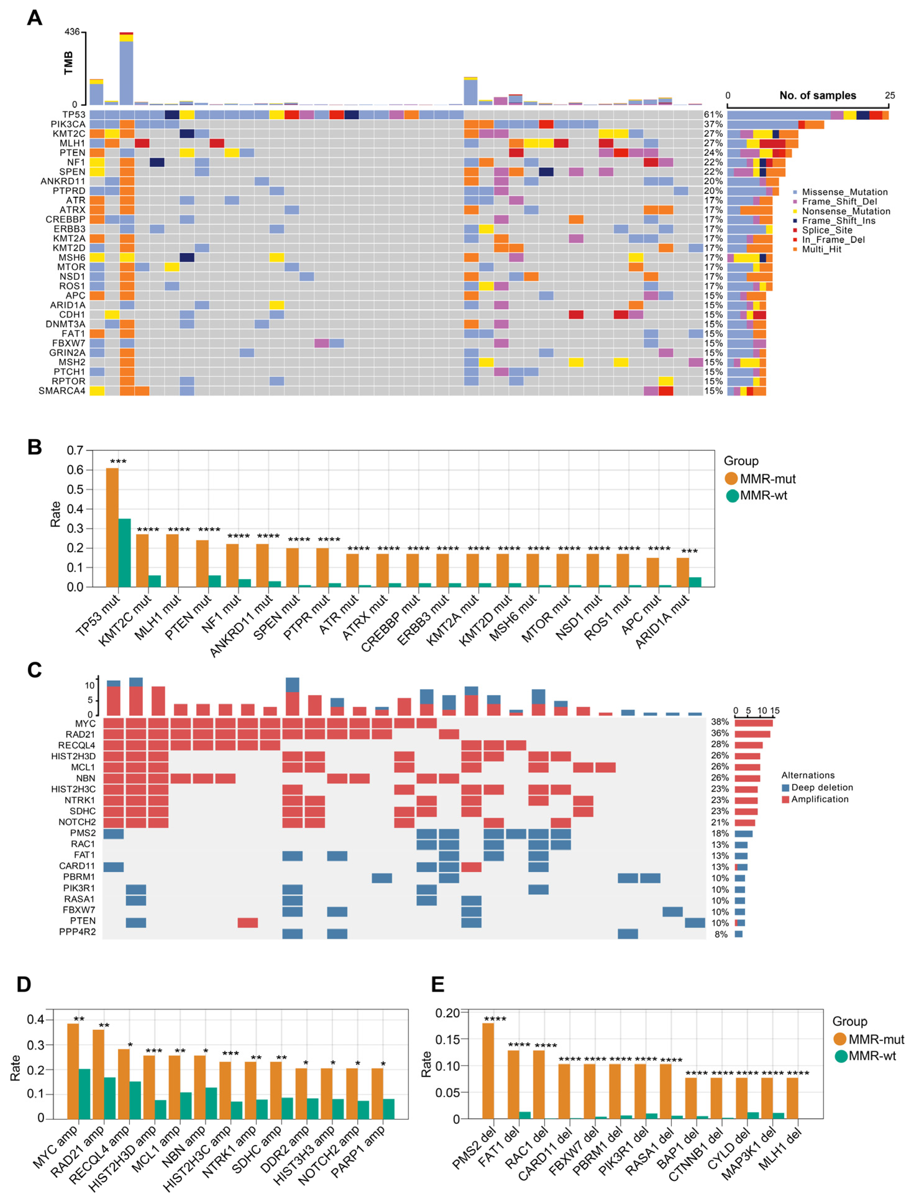 Bioengineering 12 00426 g004