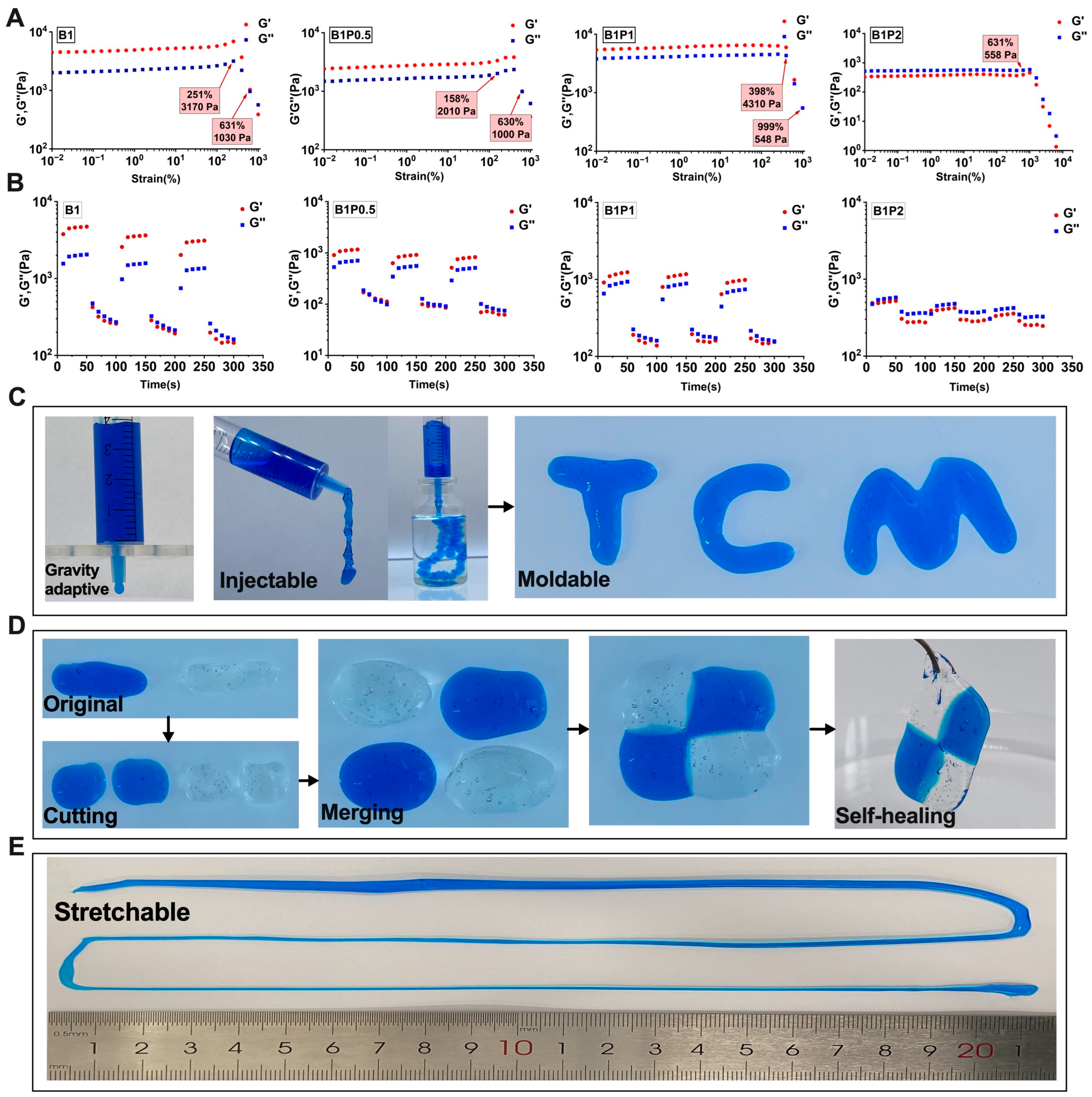 Bioengineering 12 00427 g002