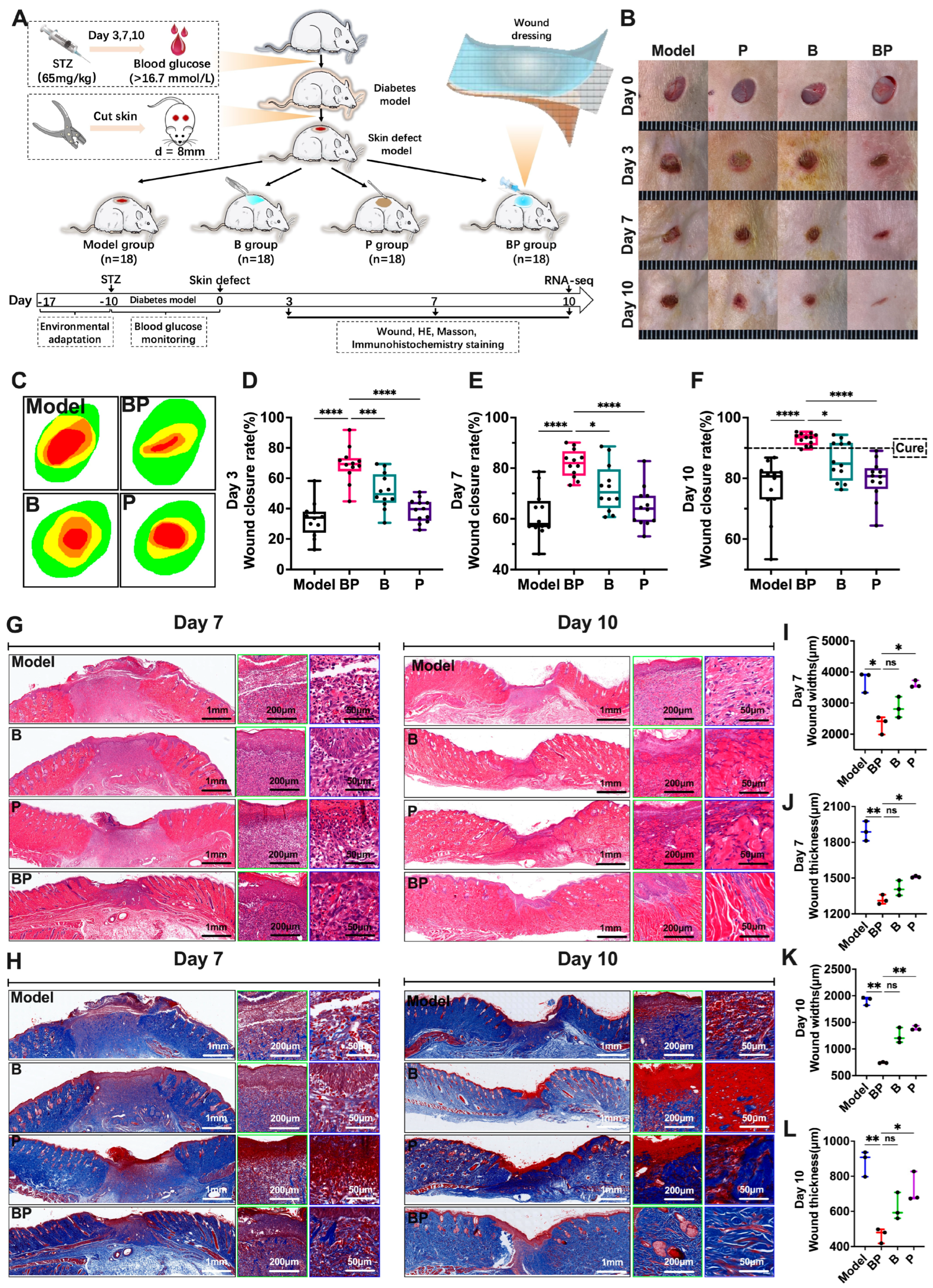 Bioengineering 12 00427 g004